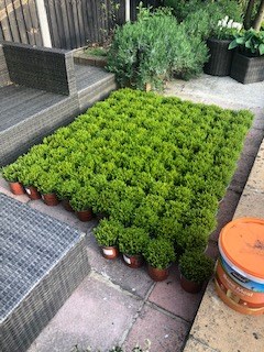 Customer photo