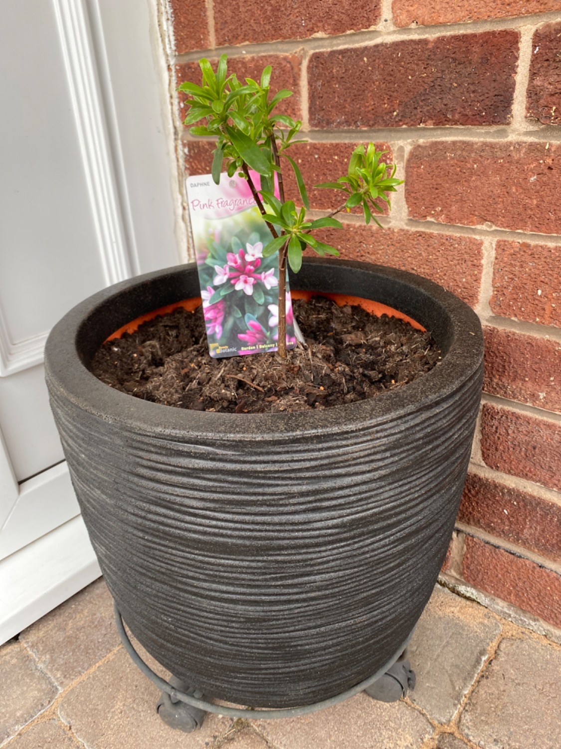Customer photo