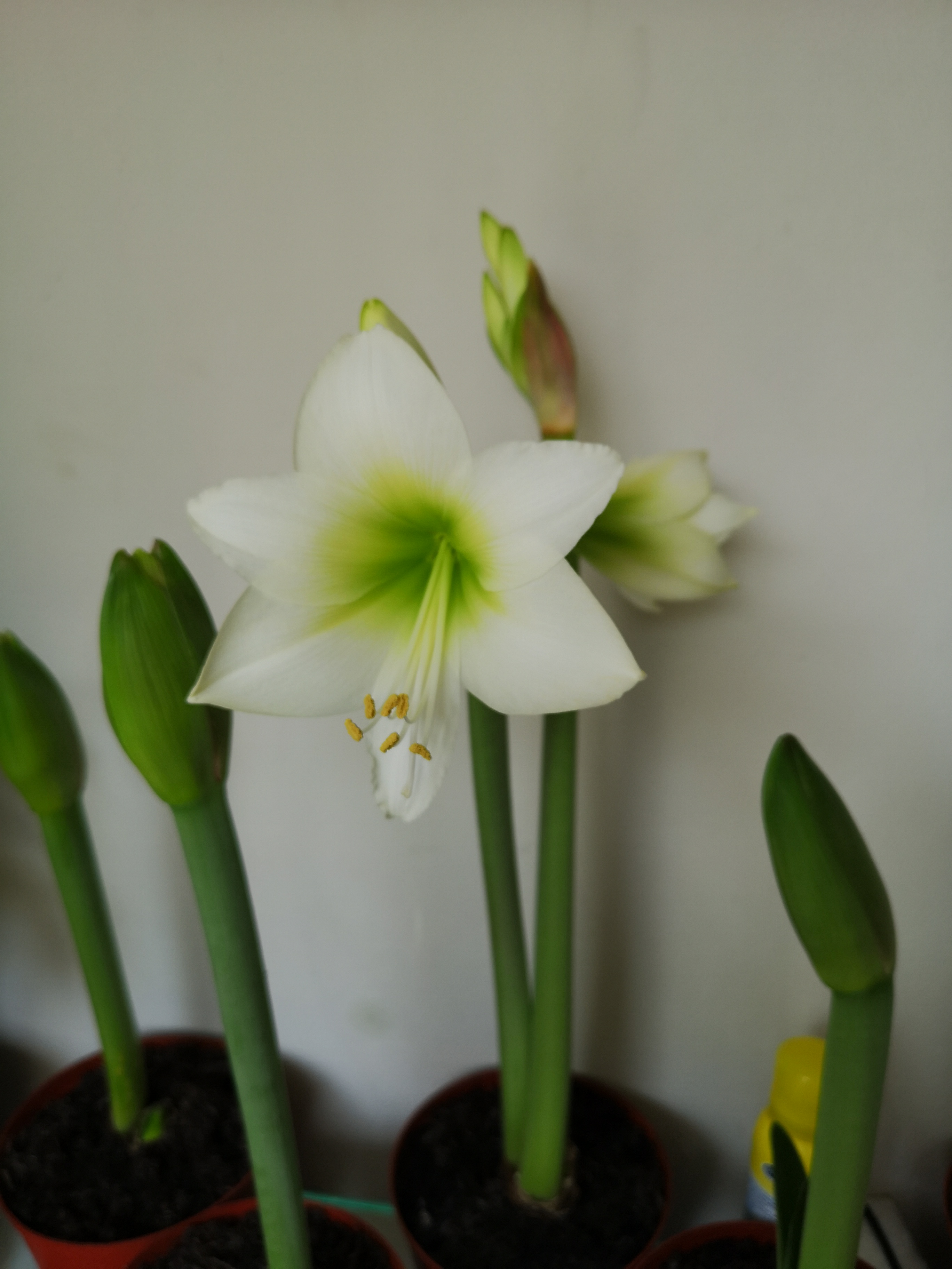 Review photo for 