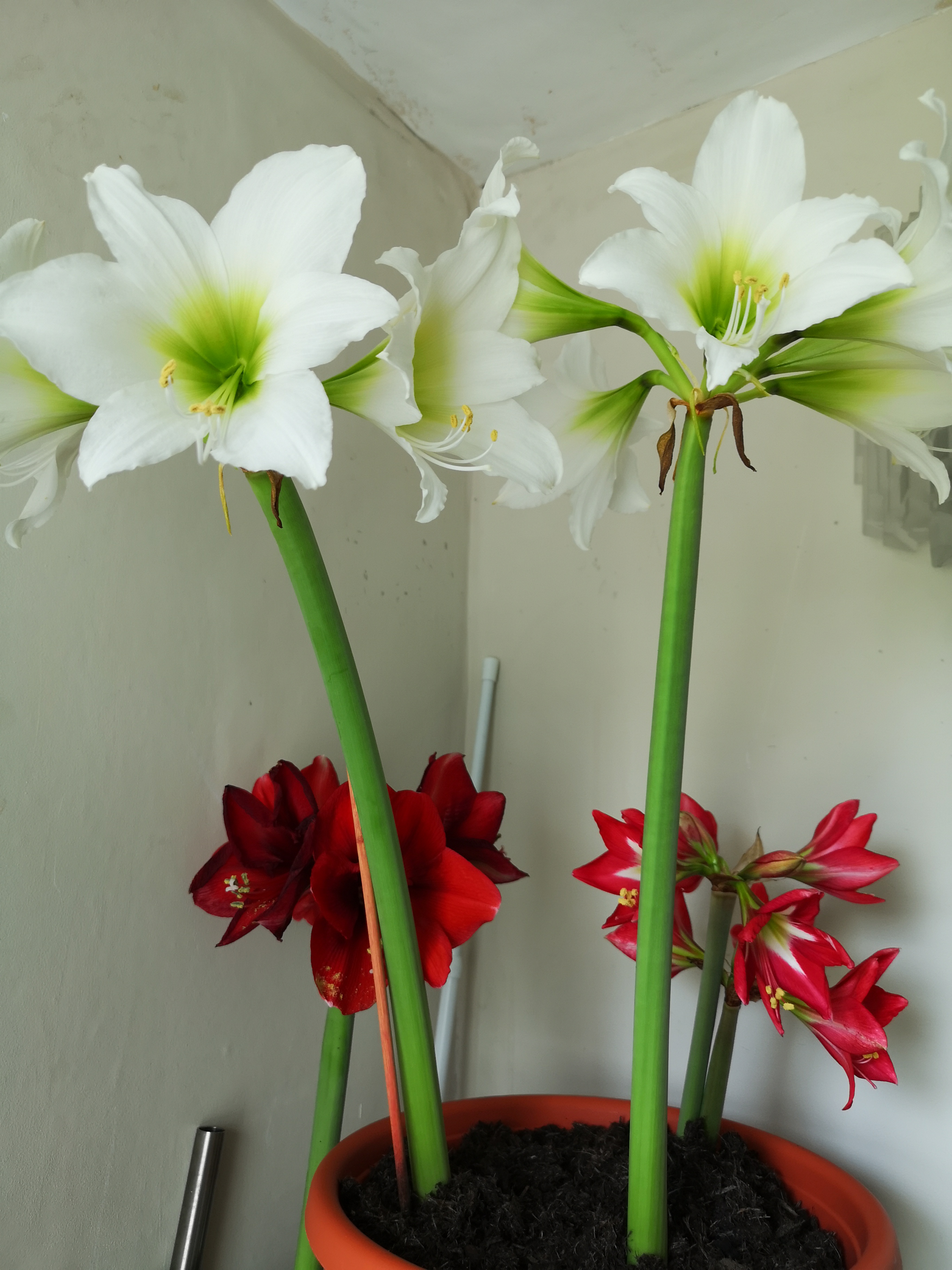 Review photo for 