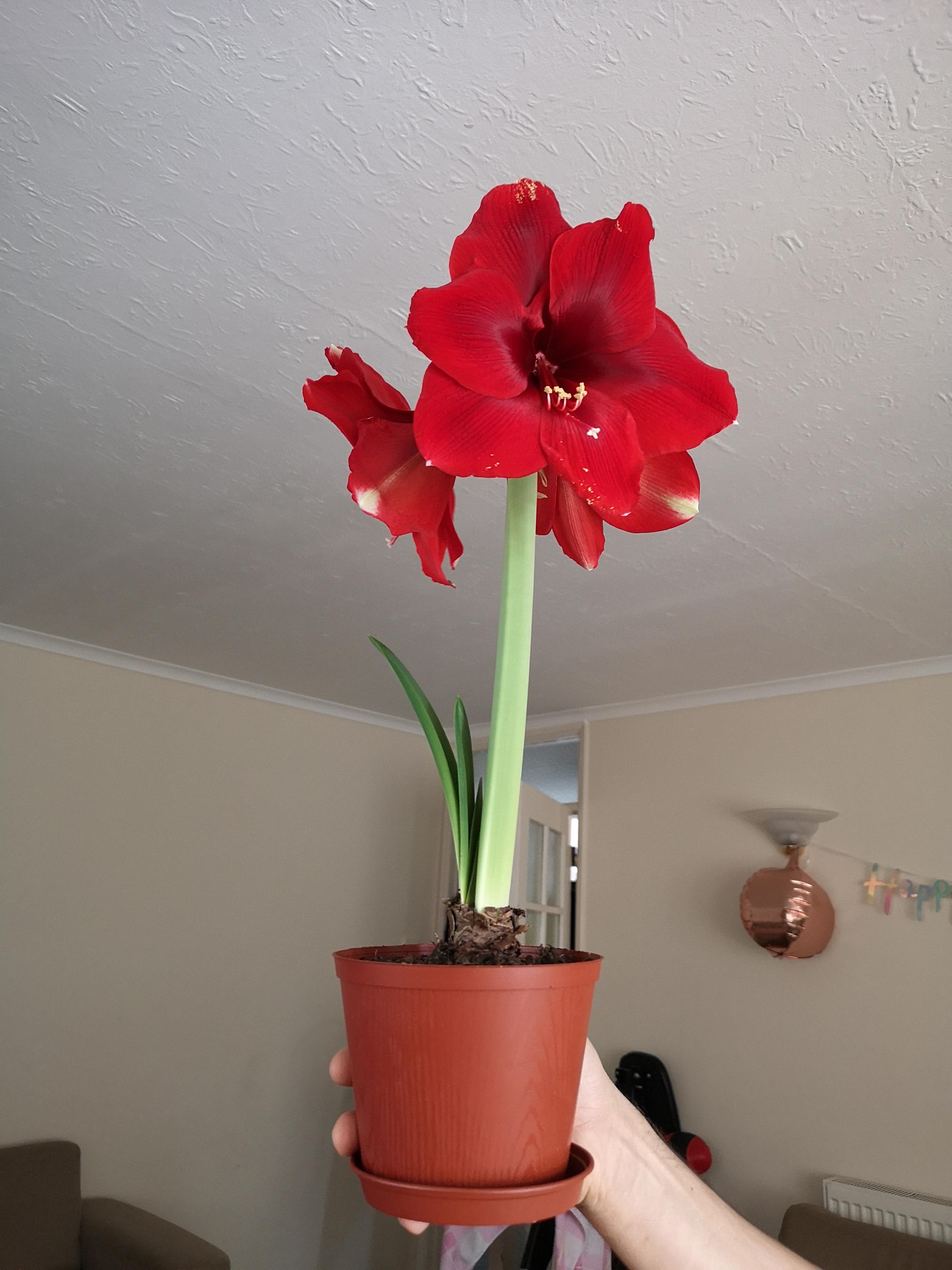 Review photo for 
