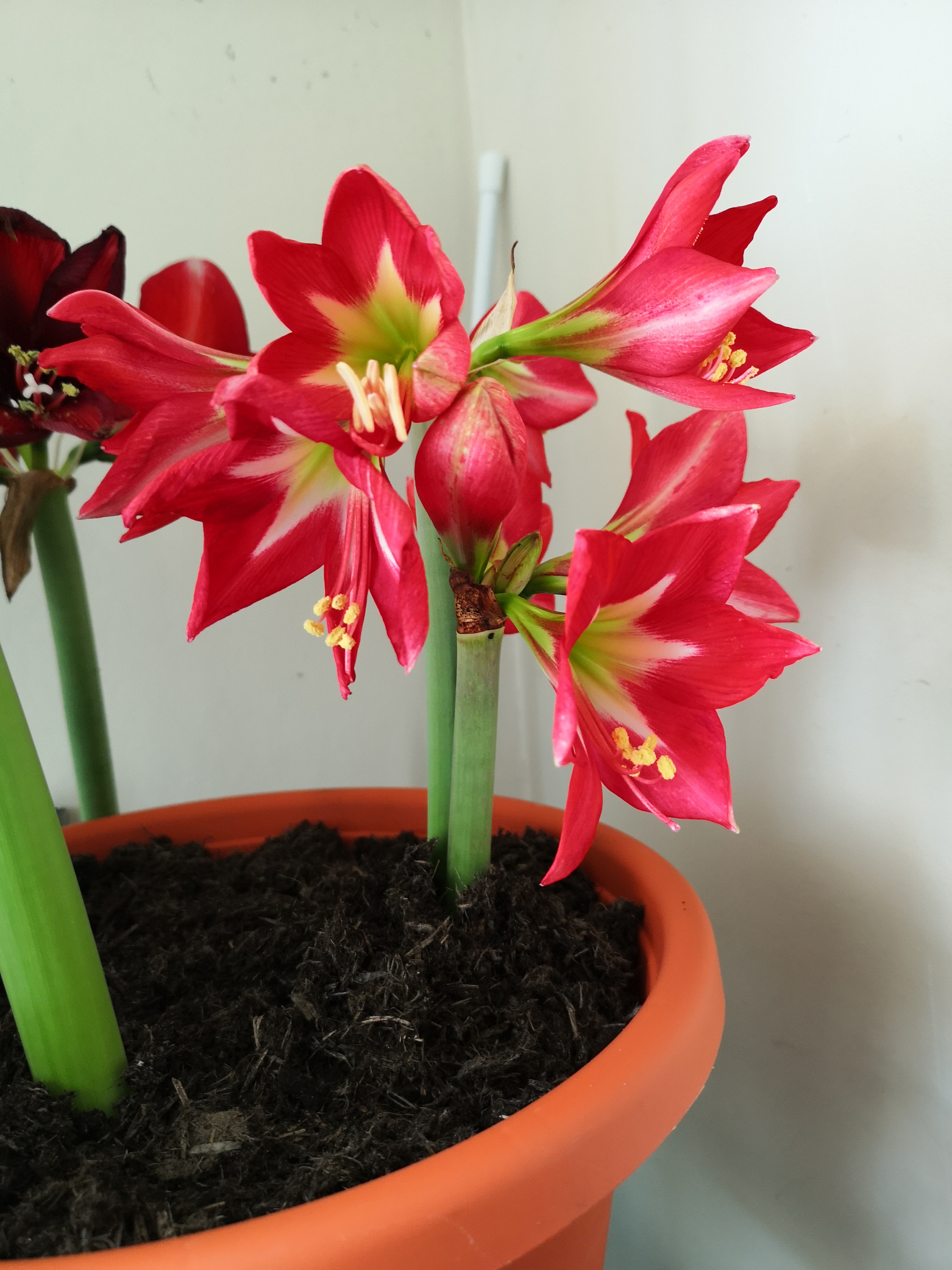 Review photo for 