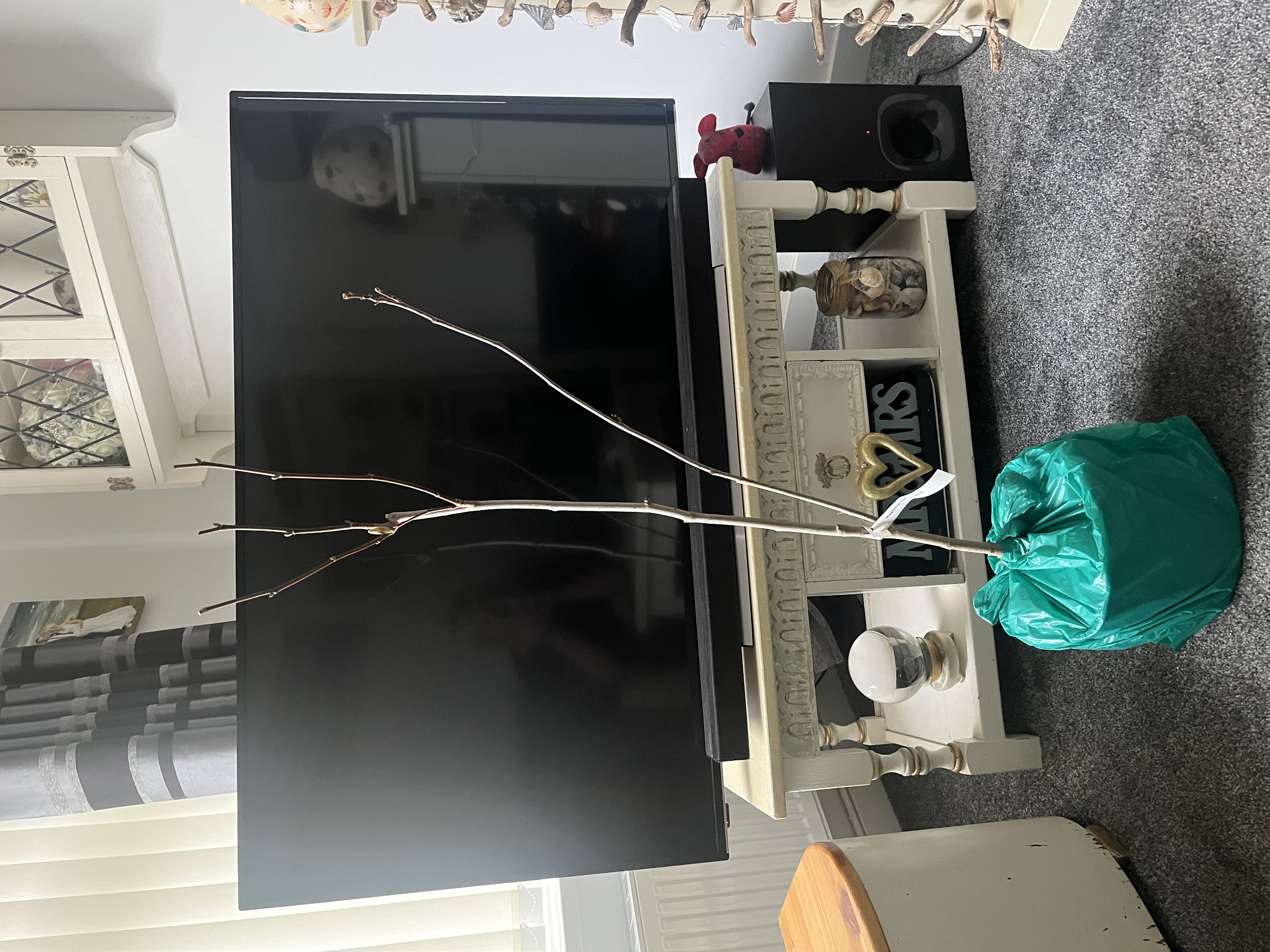 Customer photo