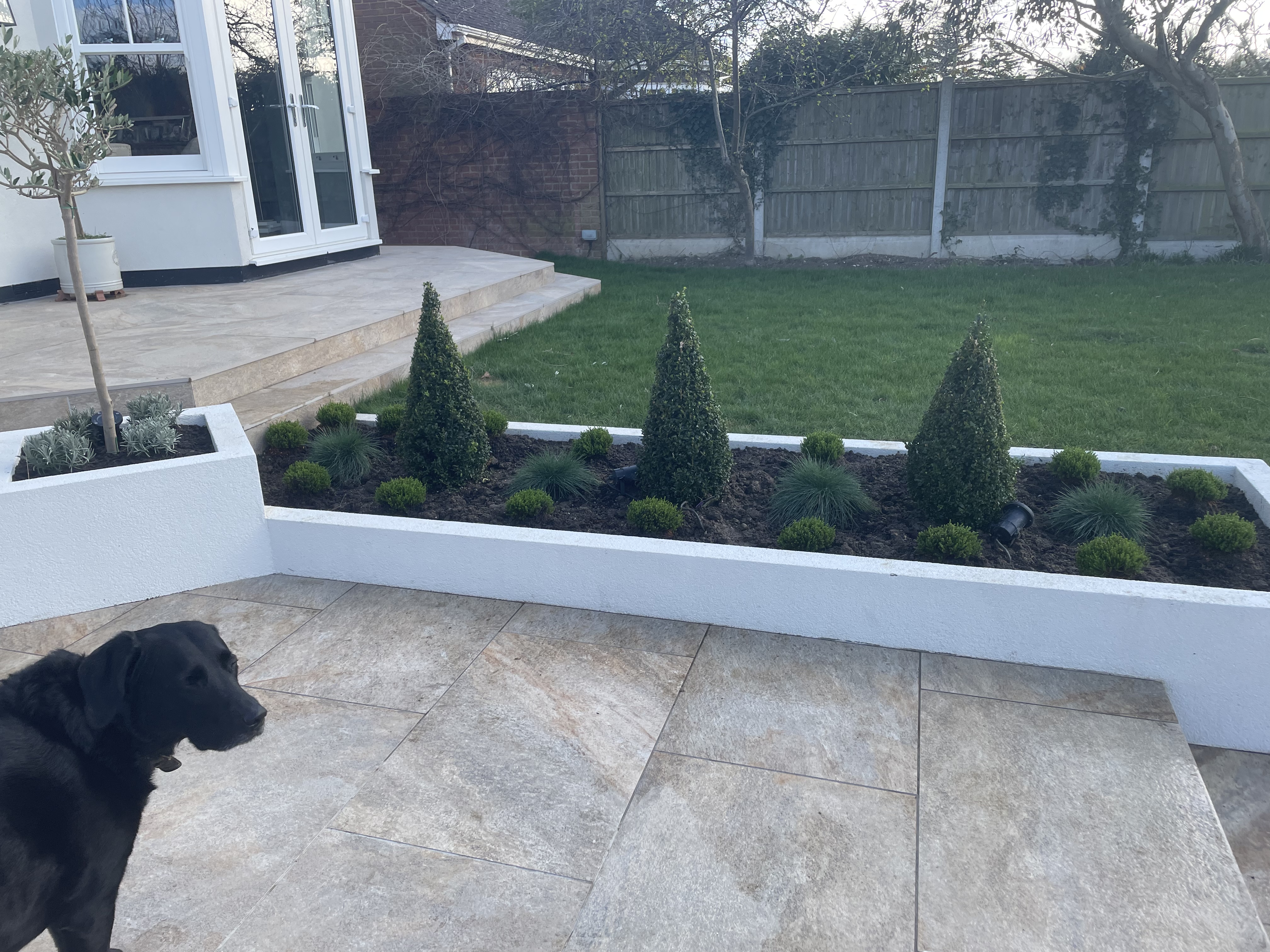 Customer photo