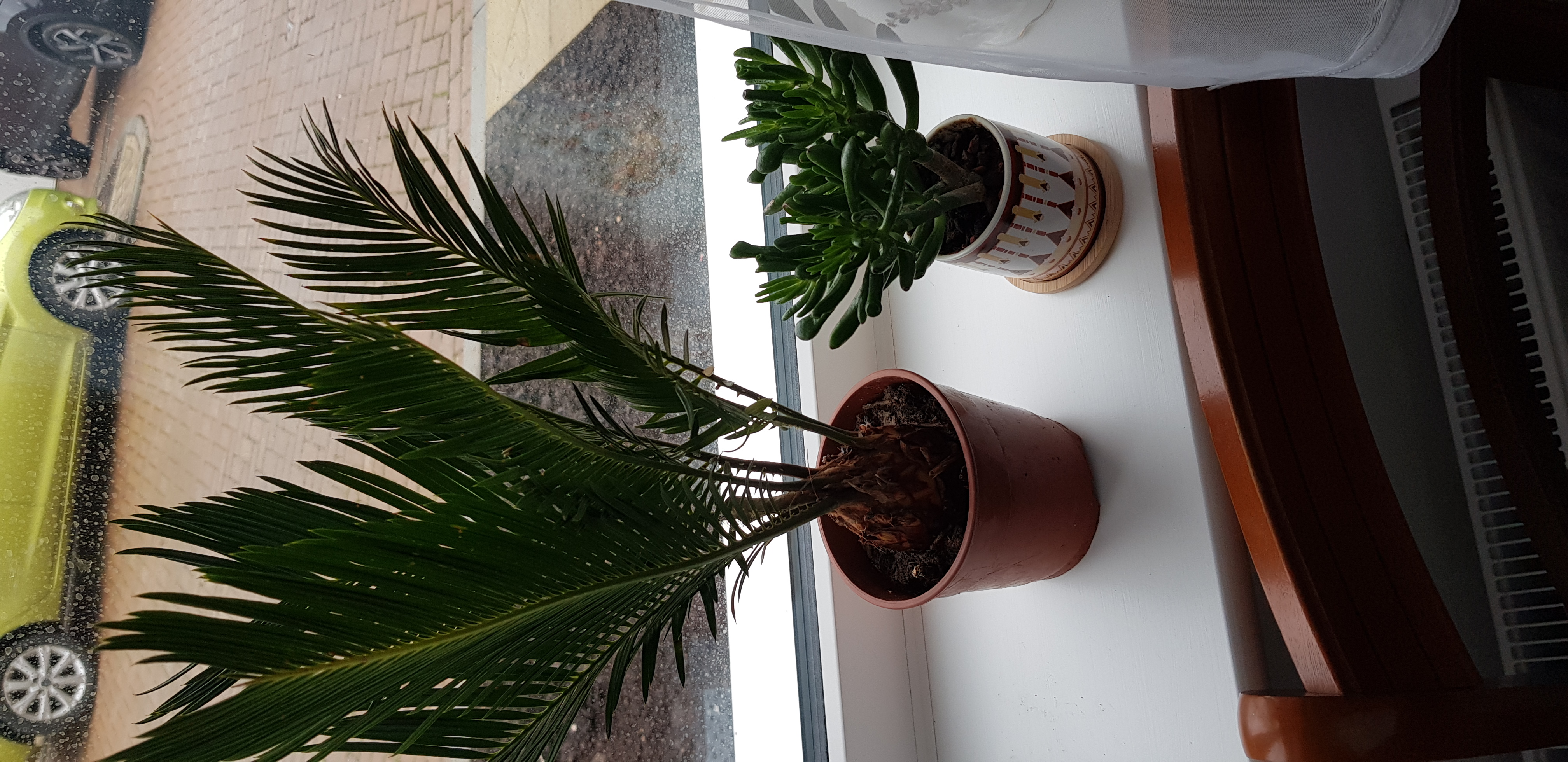 Customer photo