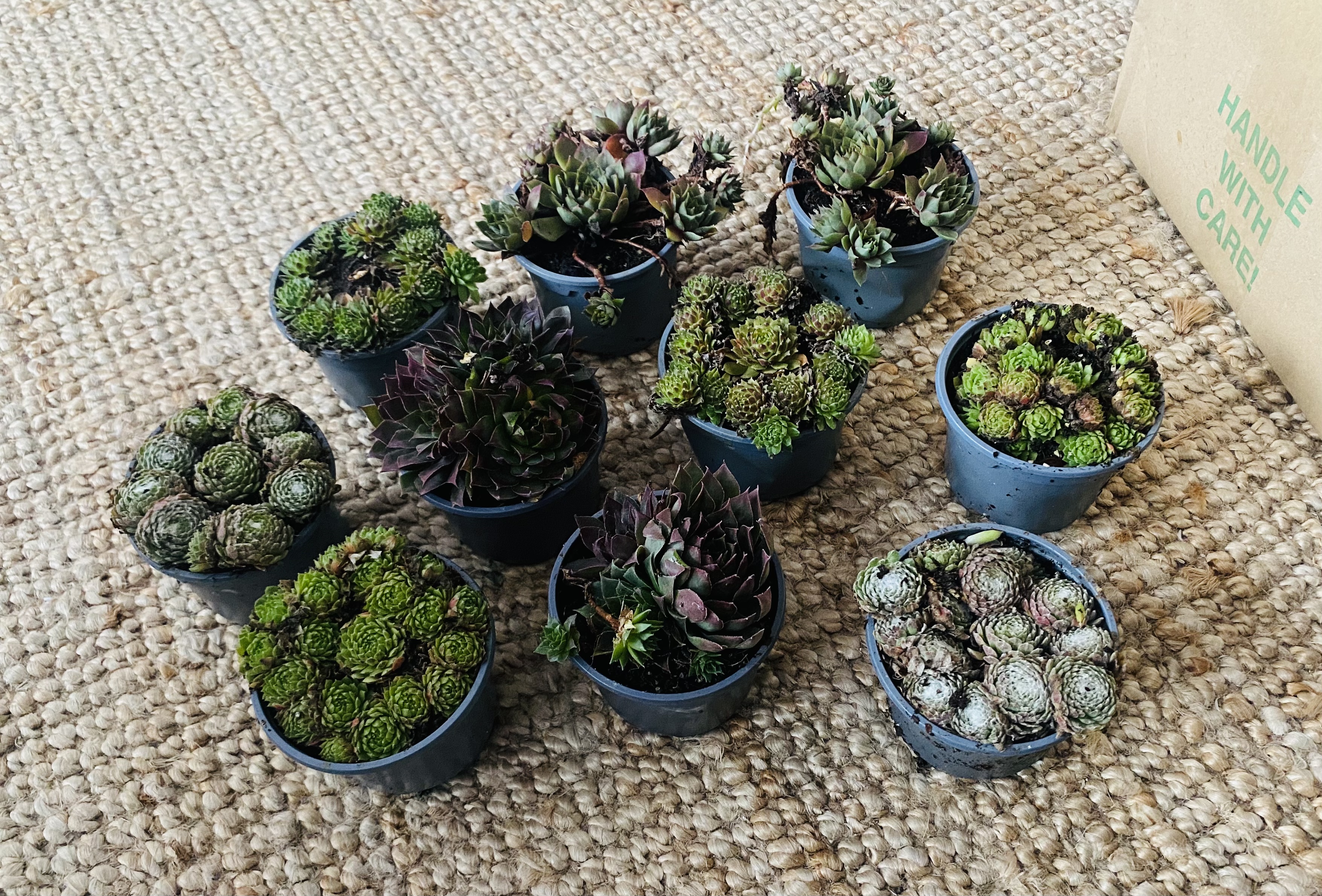 Customer photo