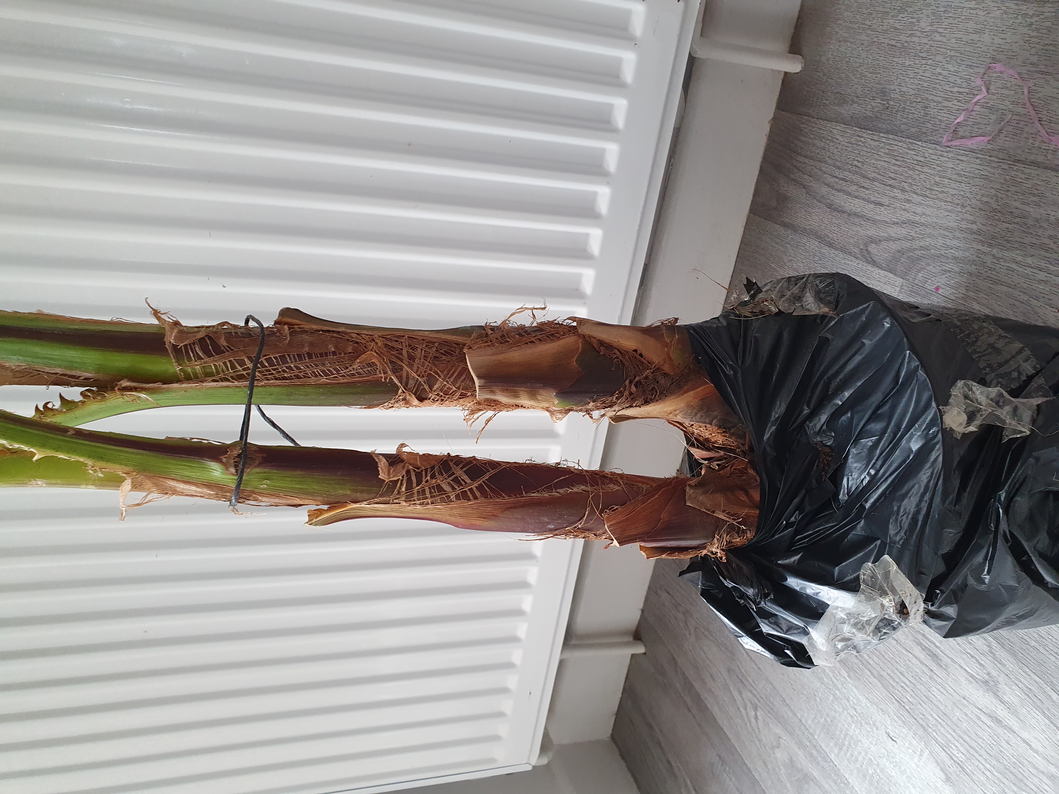 Customer photo