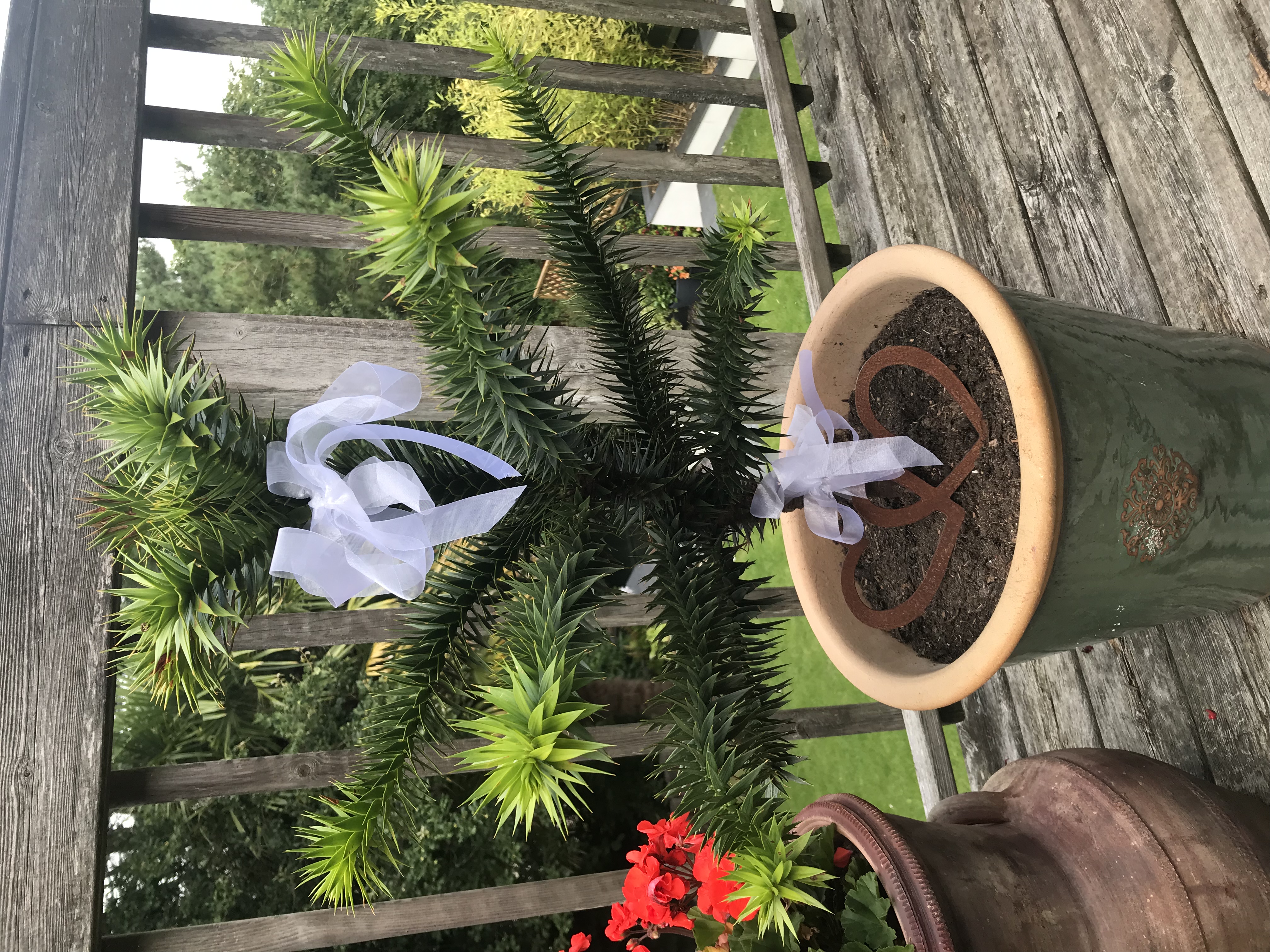 Customer photo