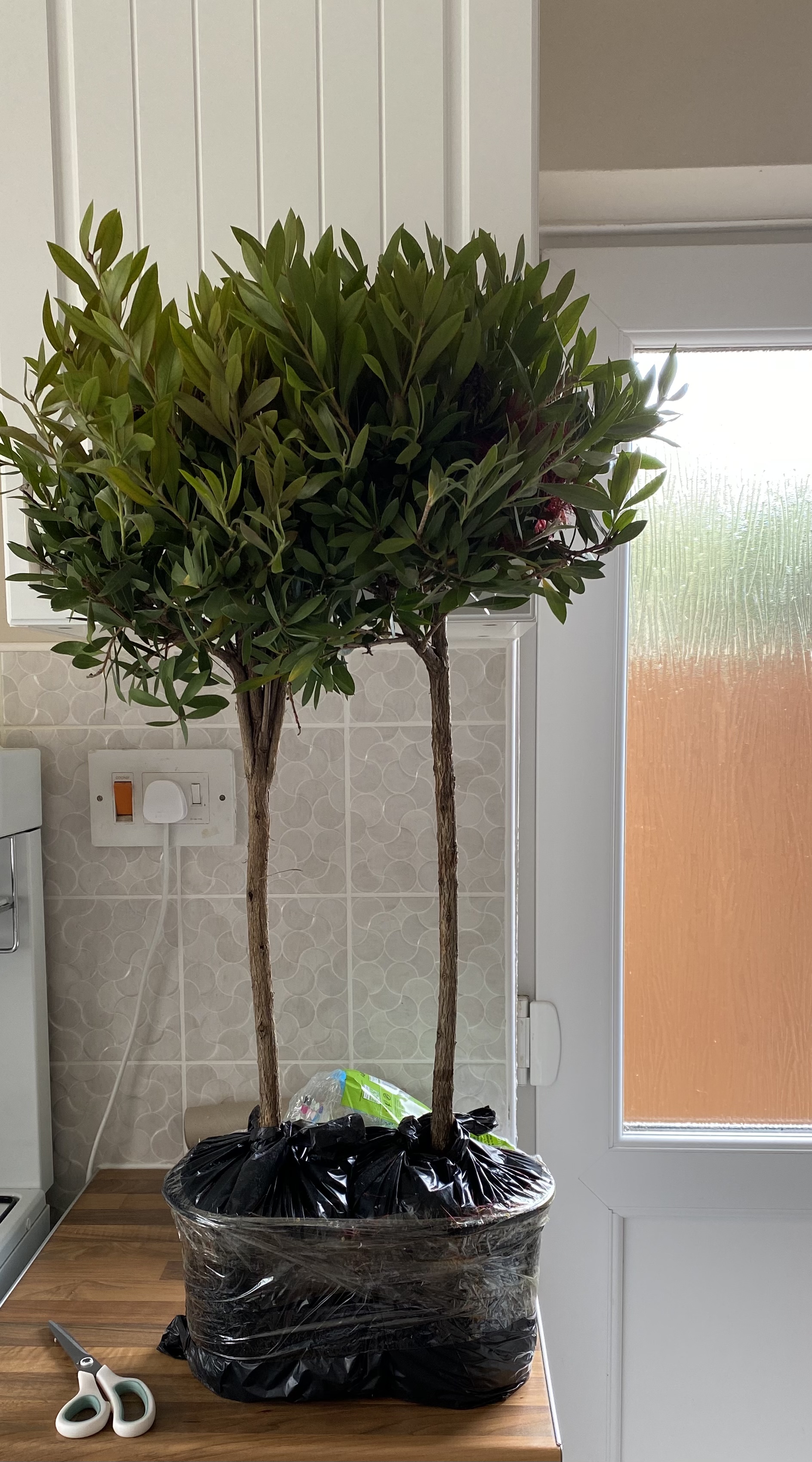 Customer photo