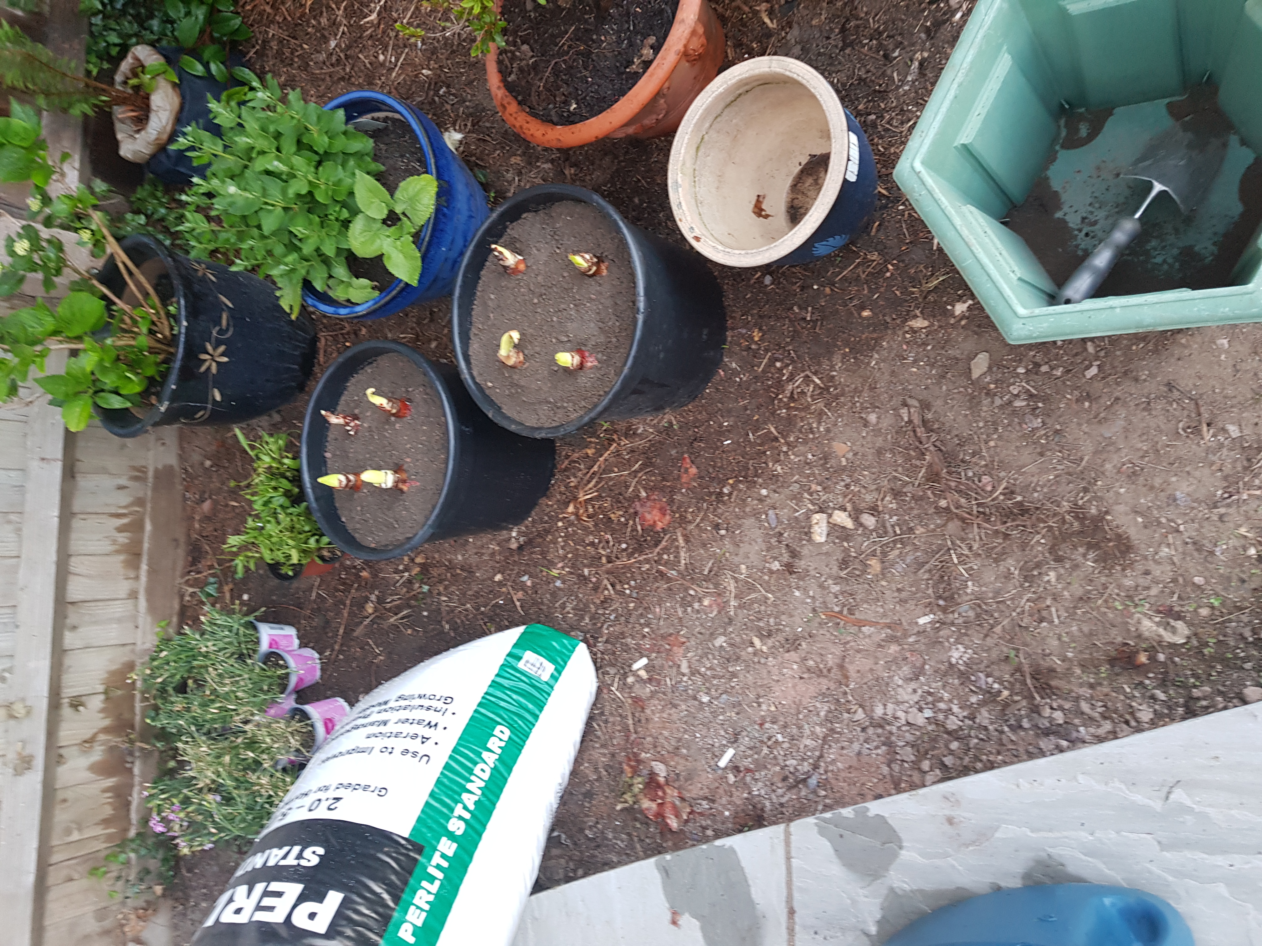 Customer photo