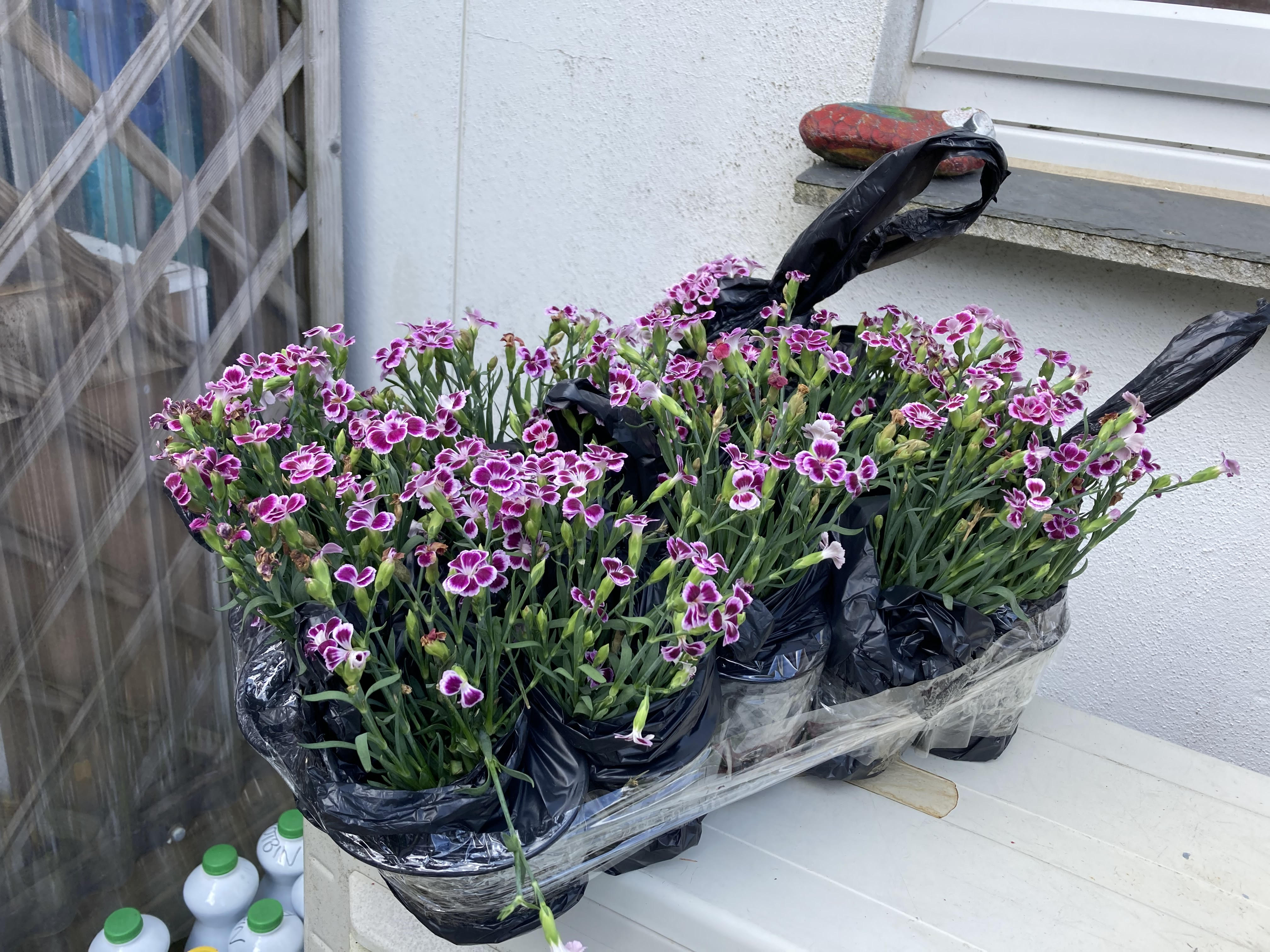 Customer photo