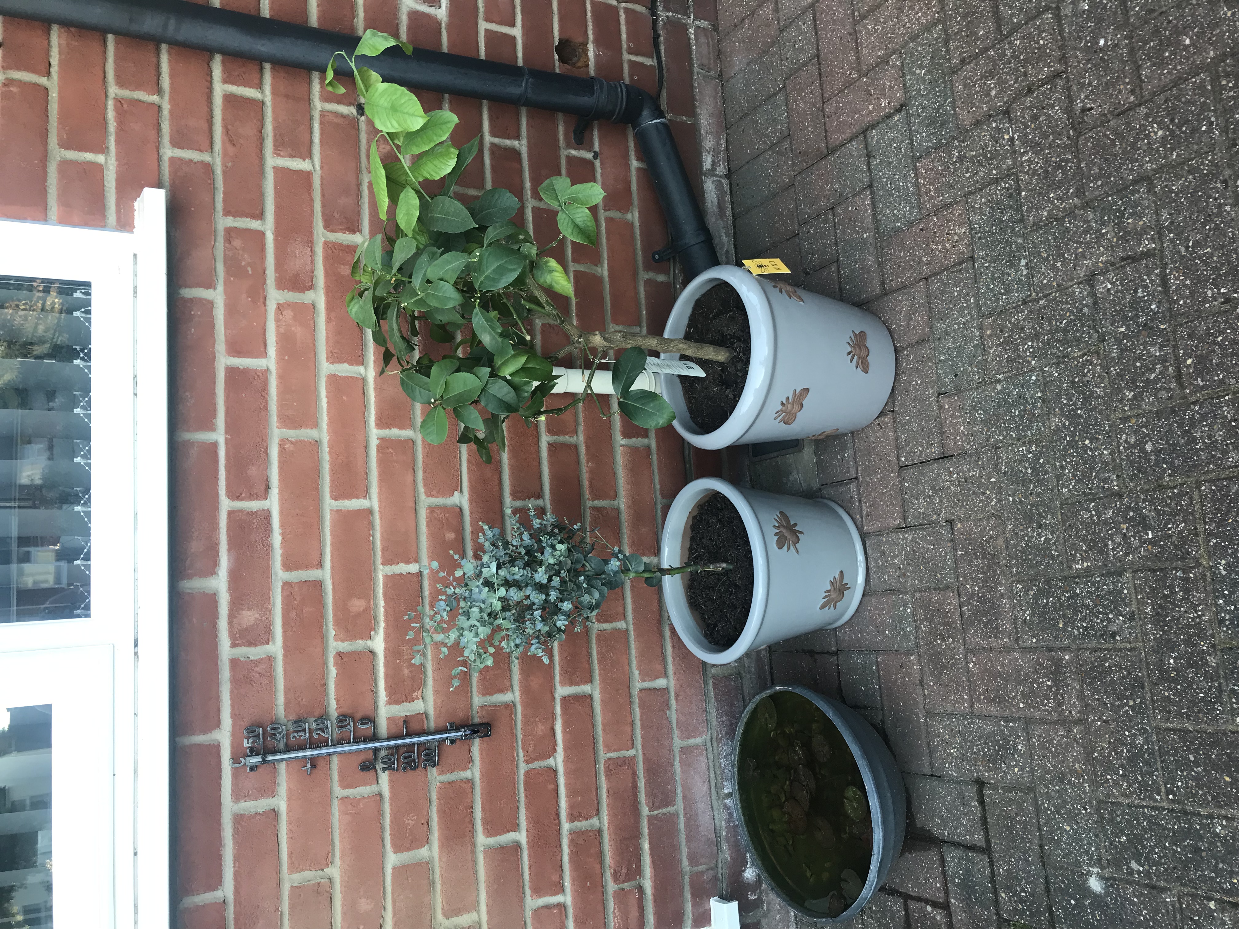 Customer photo