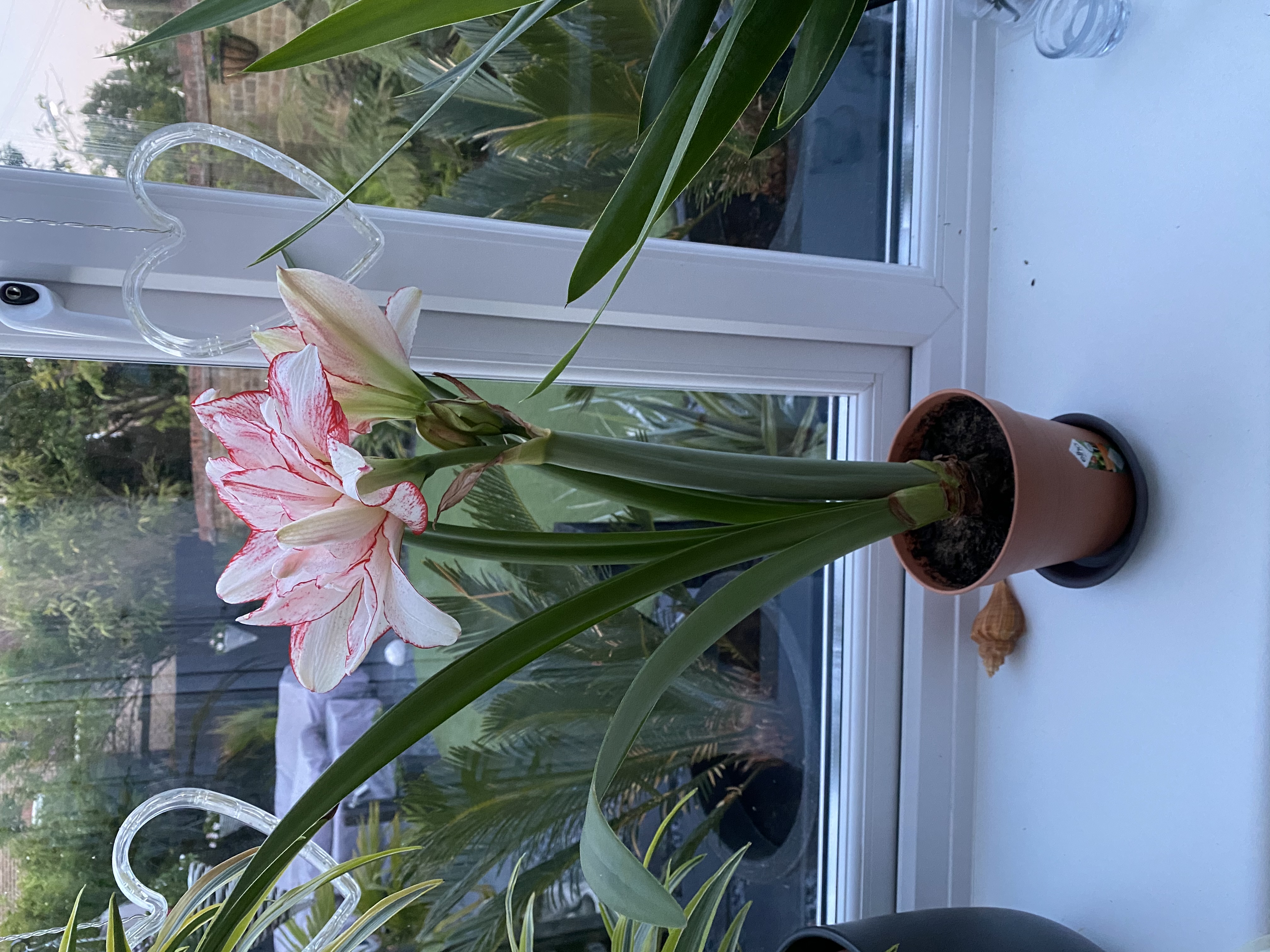 Review photo for 