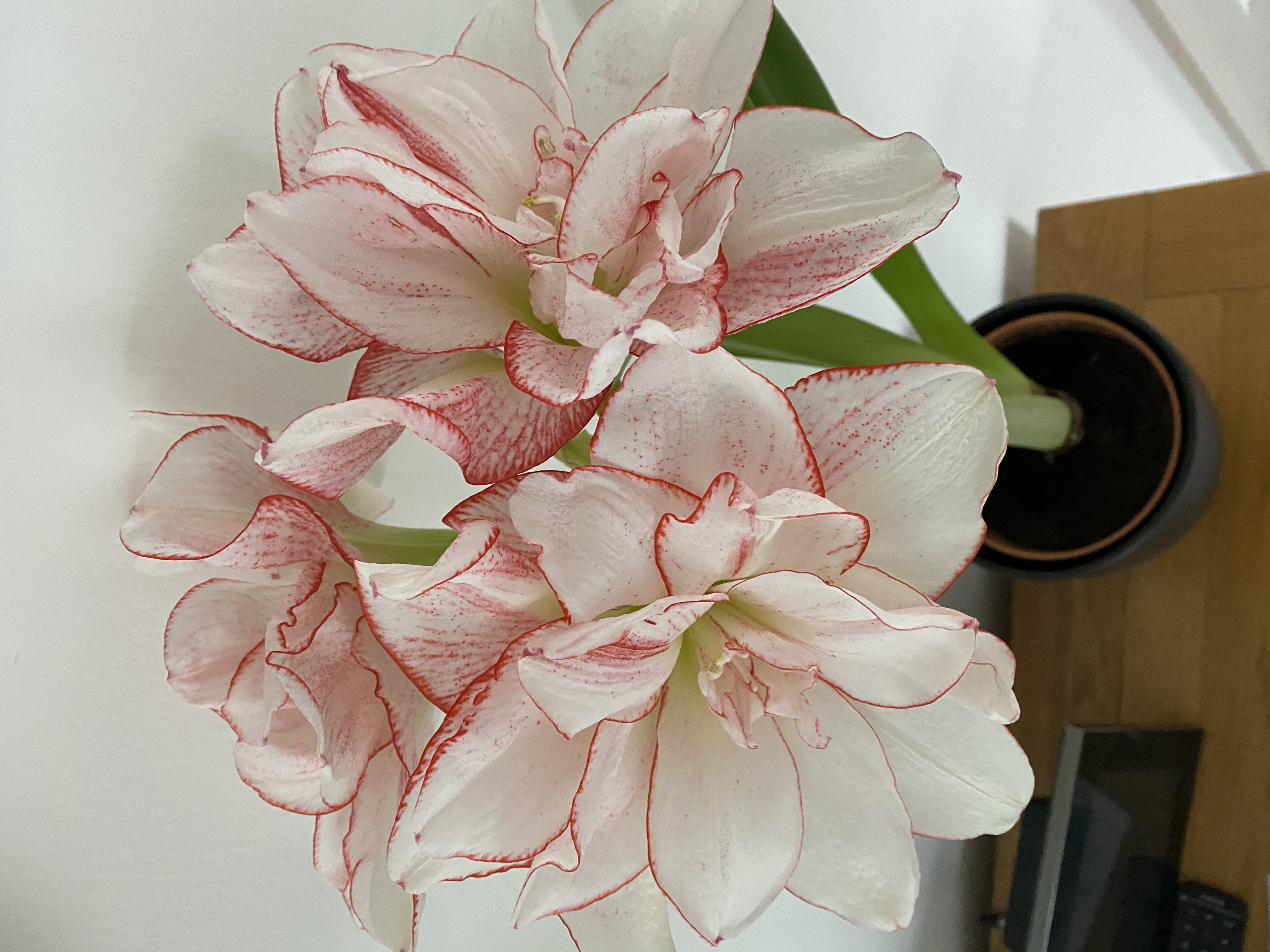 Review photo for 
