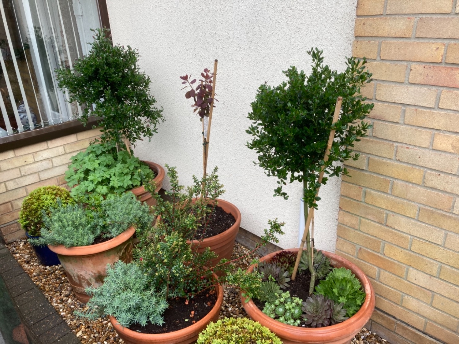 Customer photo
