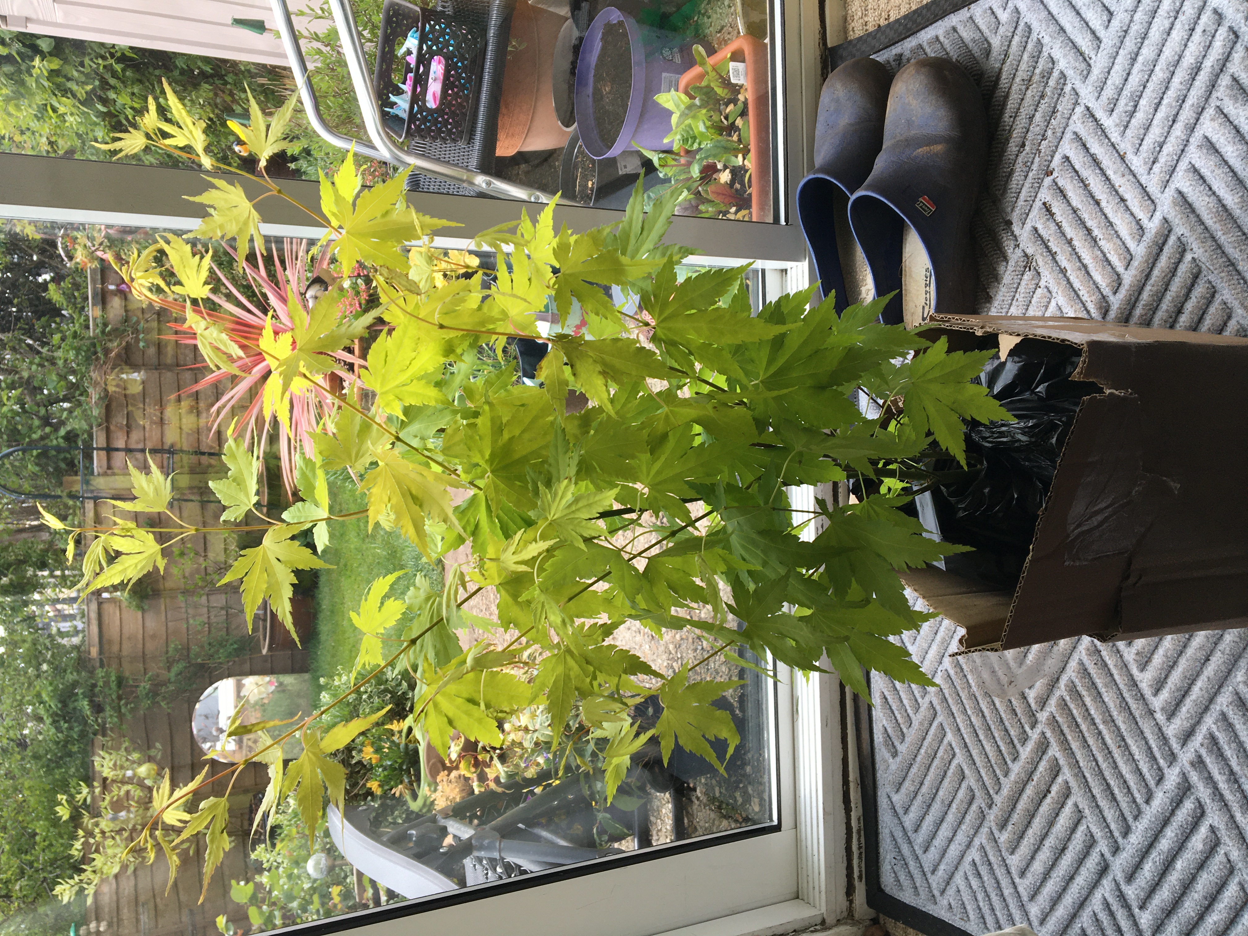 Customer photo