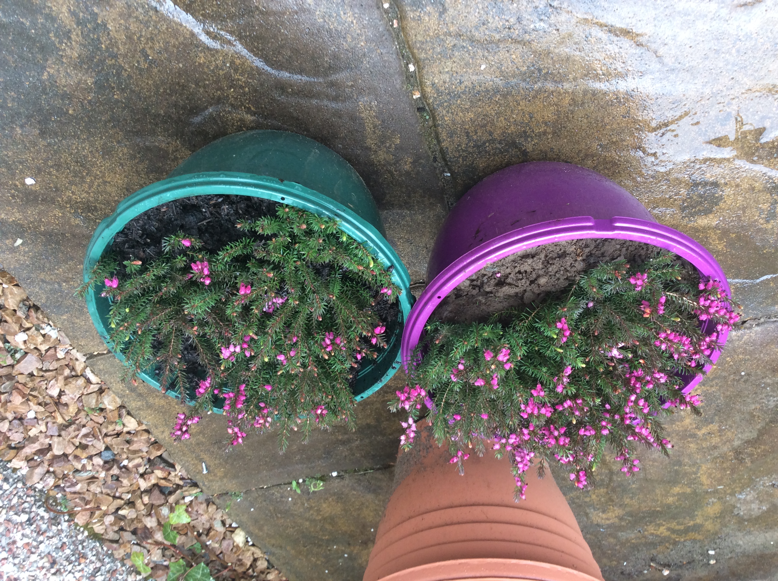 Customer photo