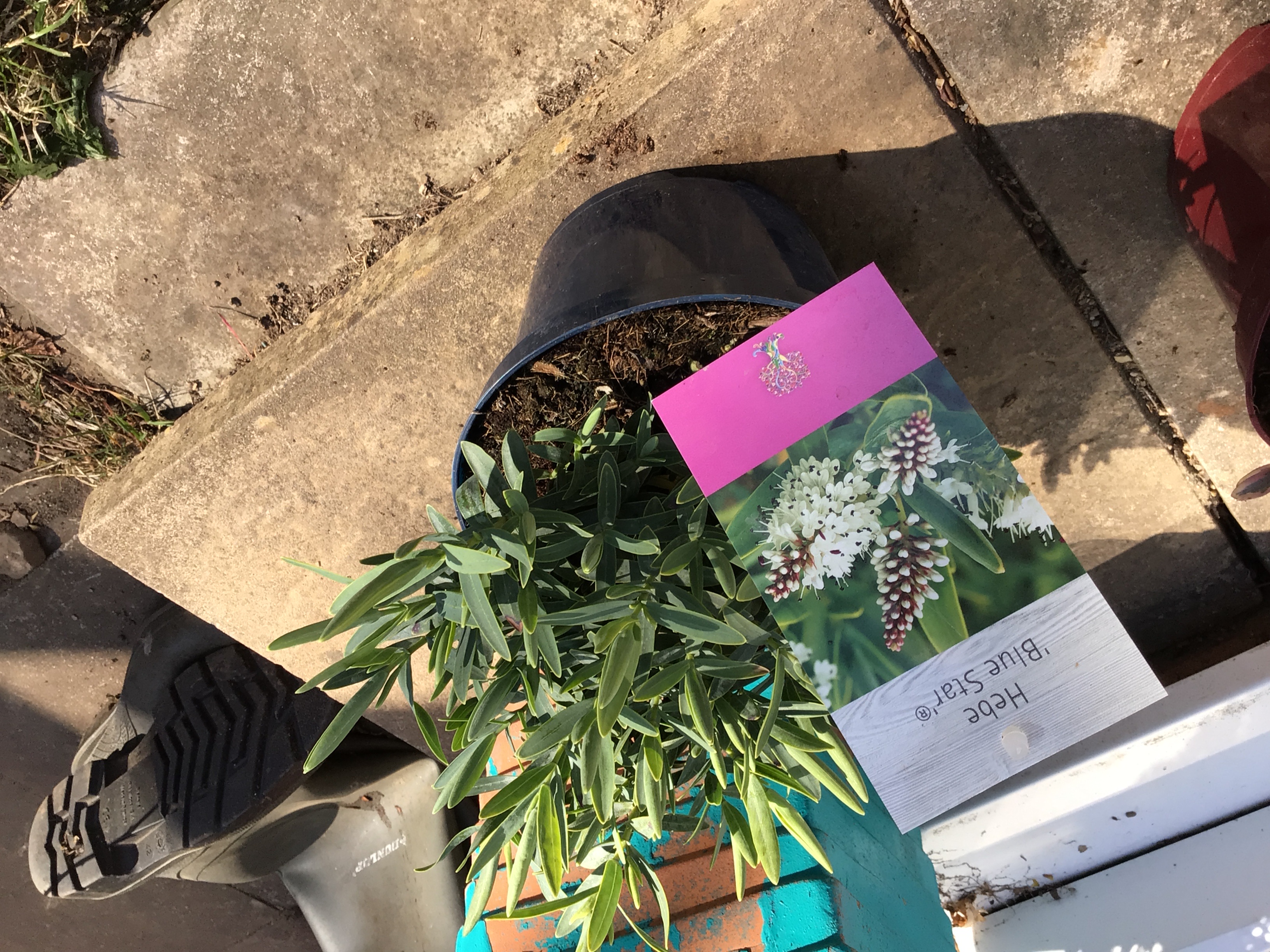 Customer photo