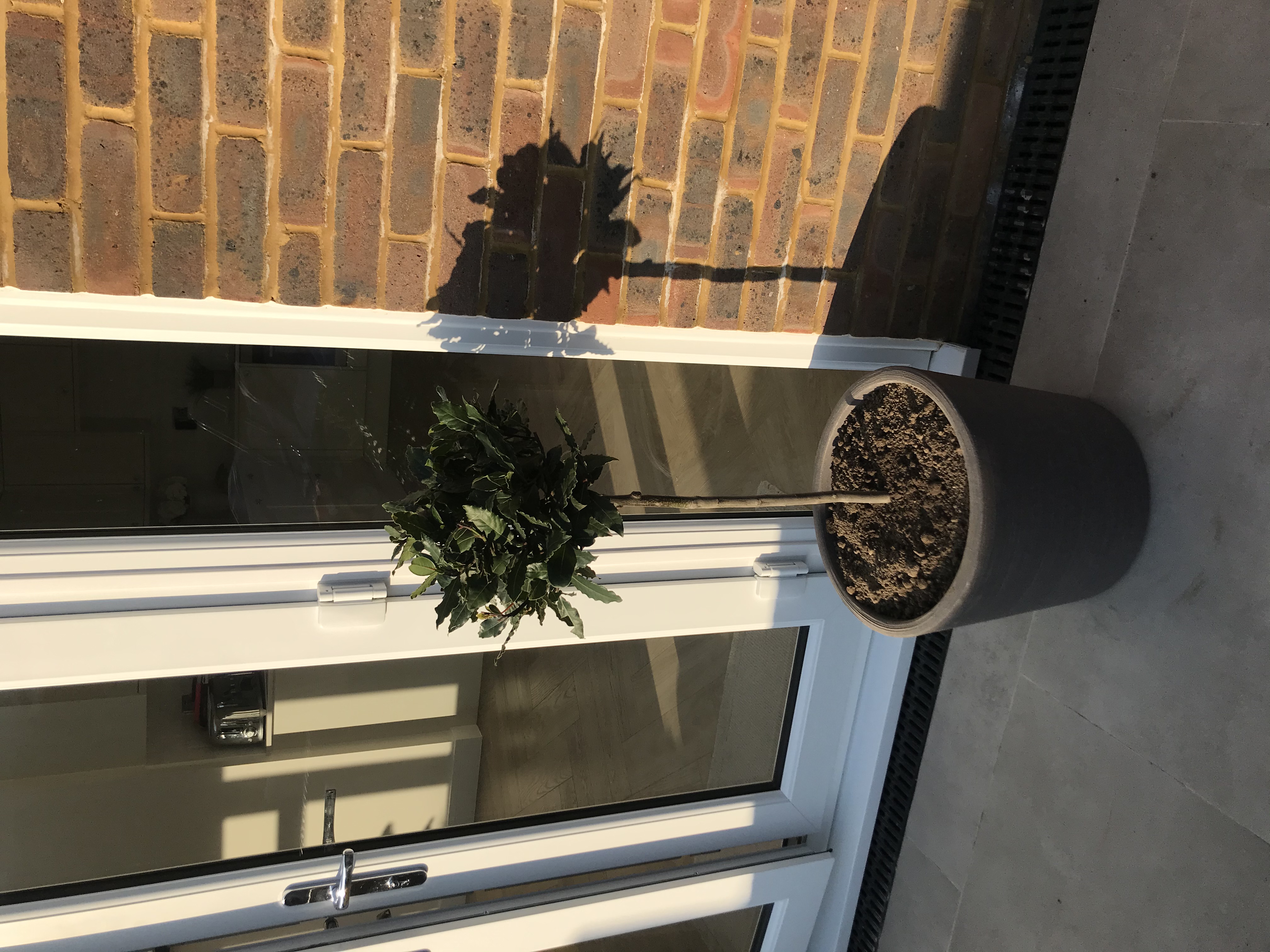 Customer photo
