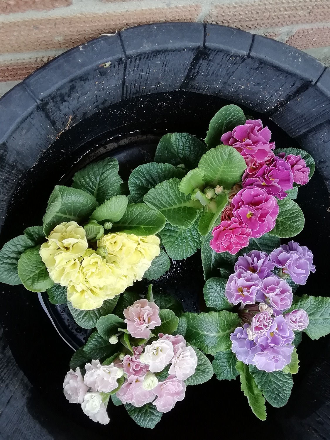 Customer photo