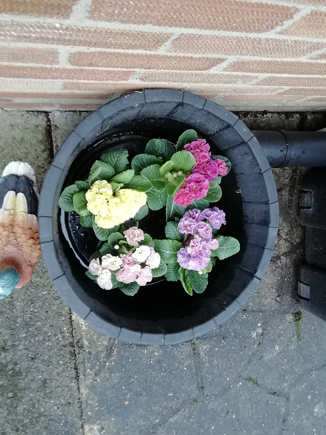 Customer photo