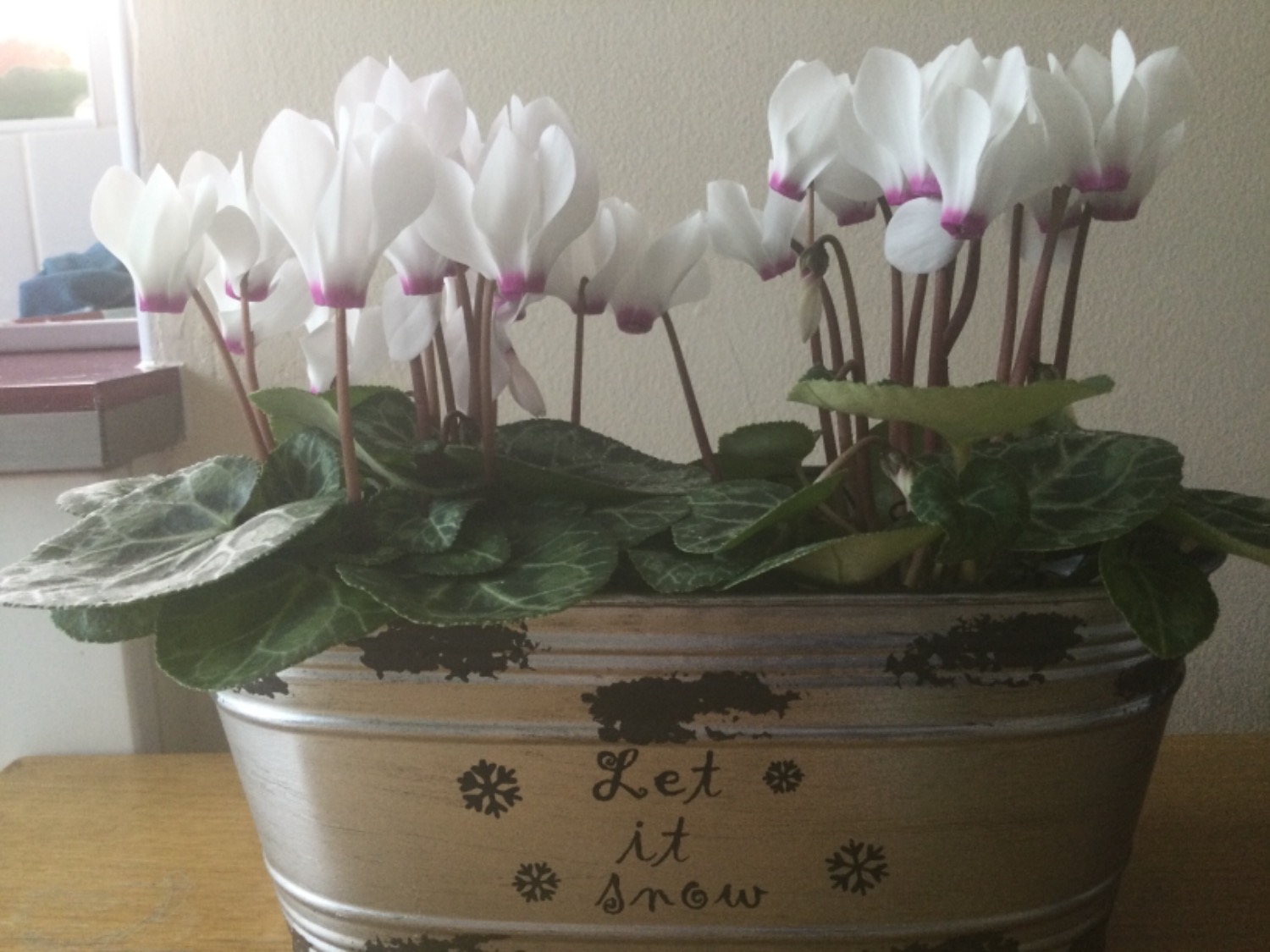 Customer photo