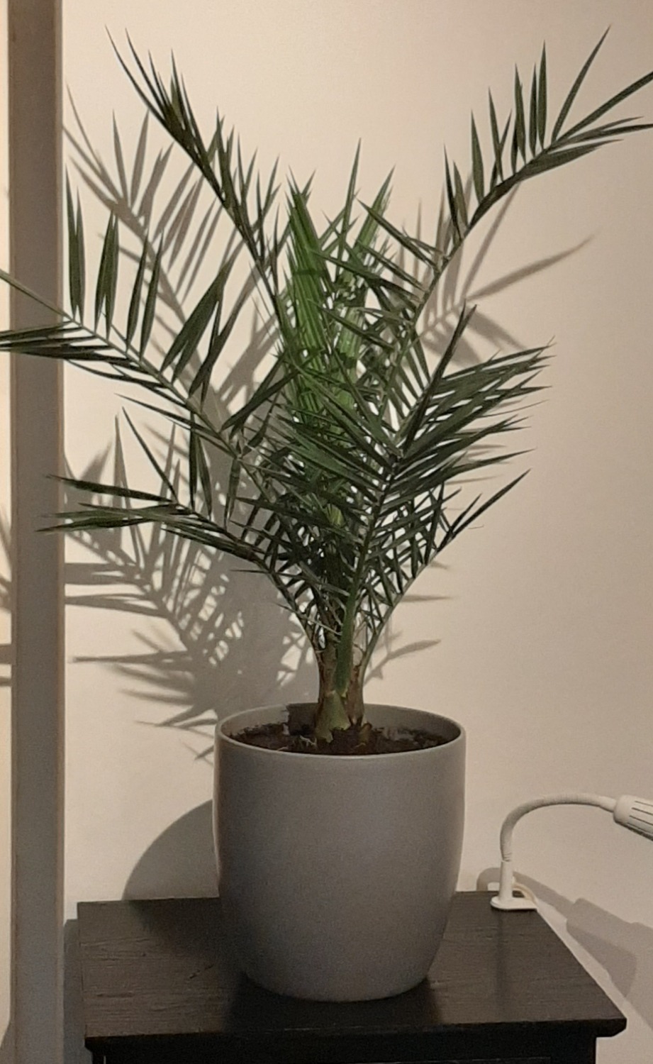 Review photo for 