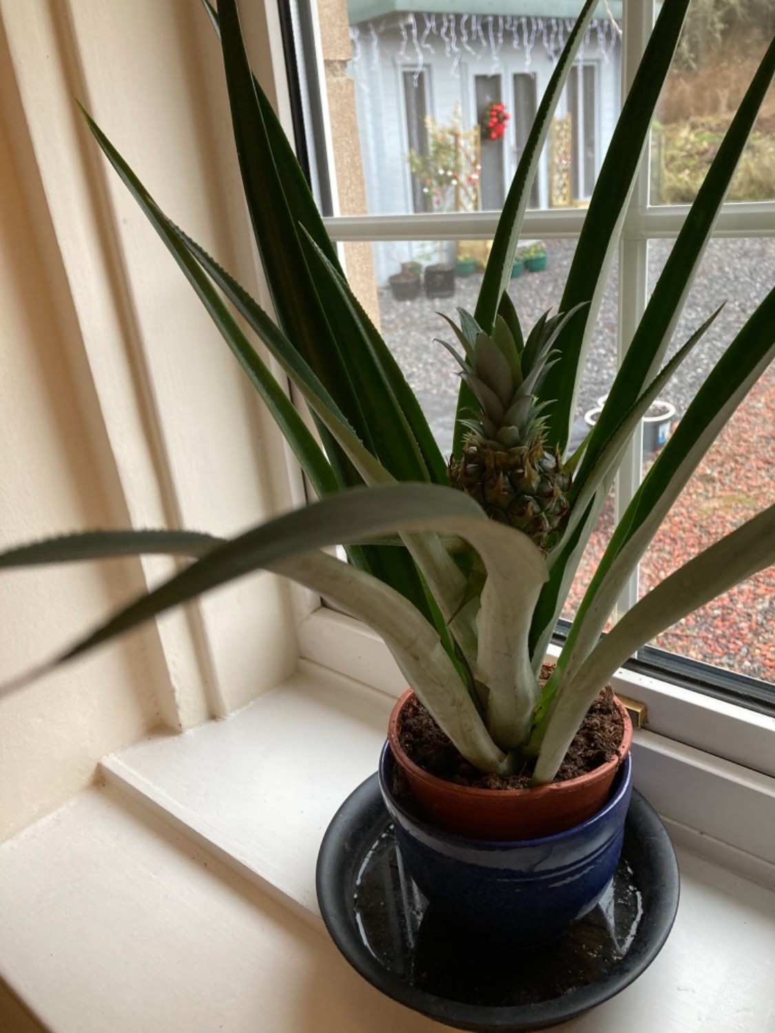 Customer photo