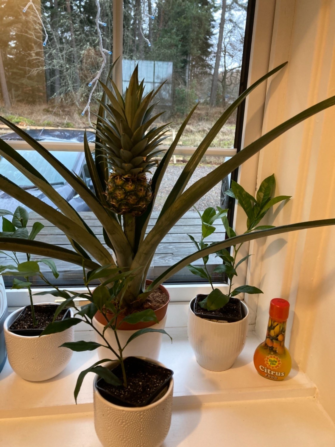 Customer photo