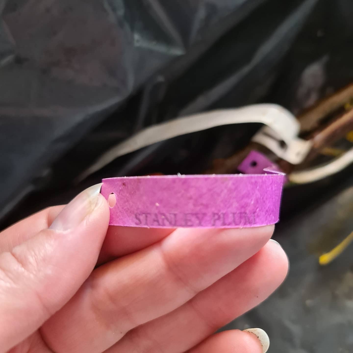 Customer photo