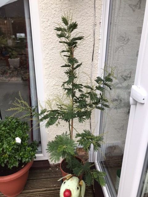 Customer photo