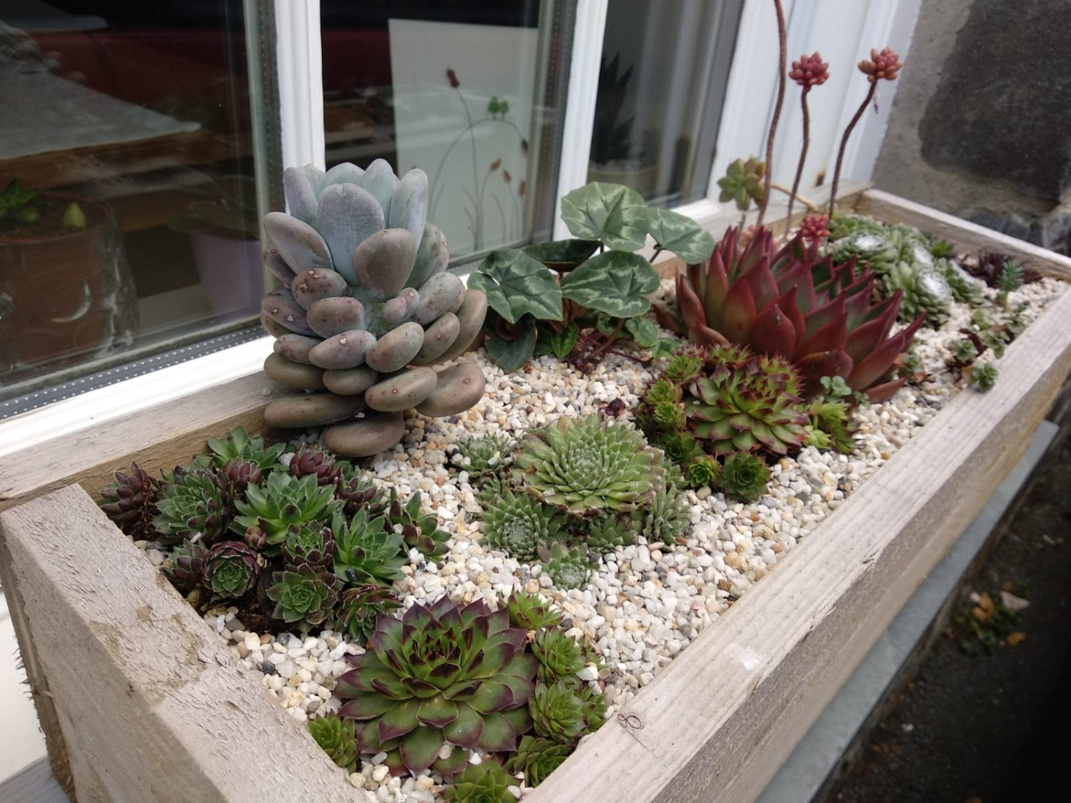 Customer photo