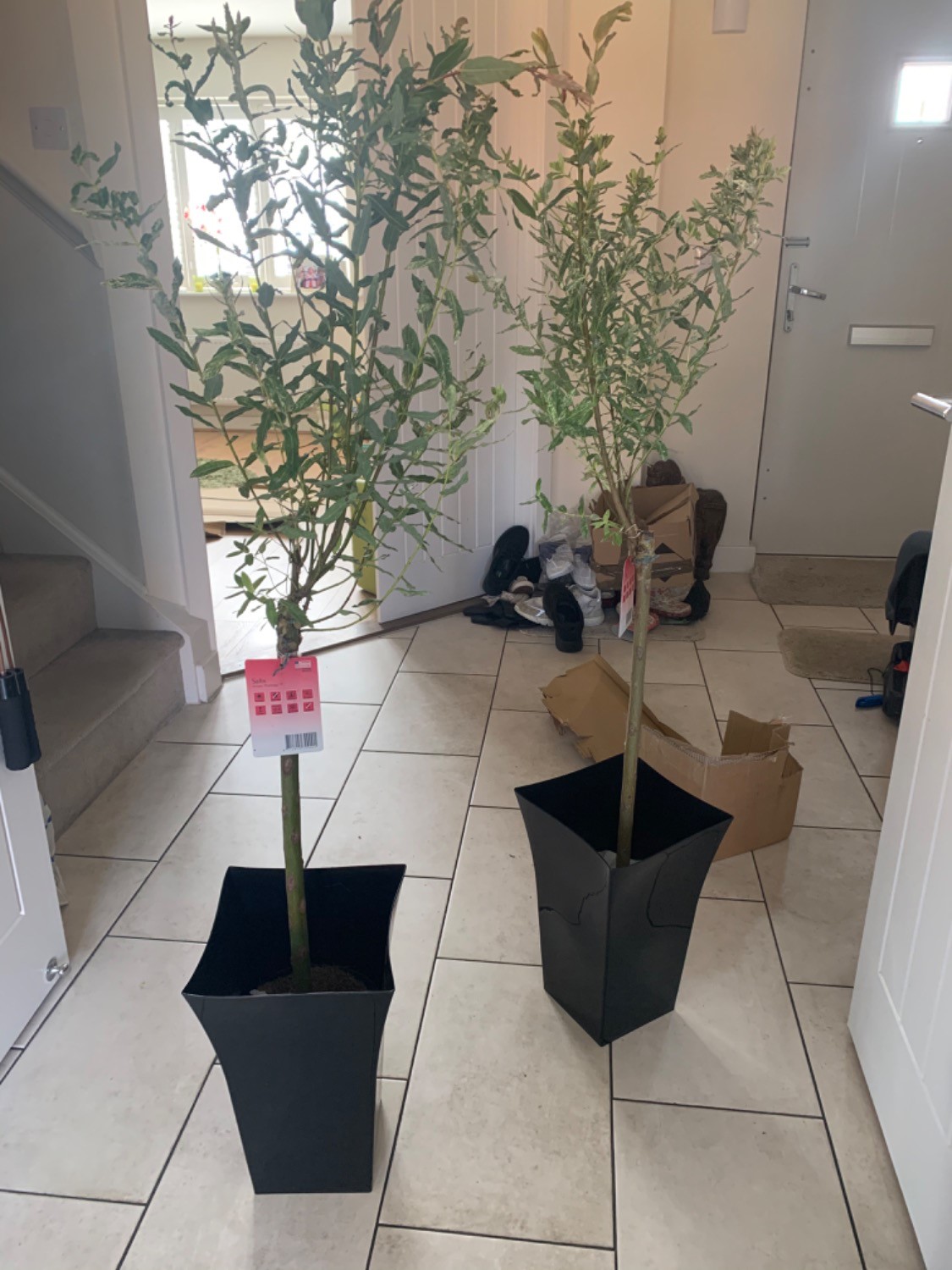 Customer photo