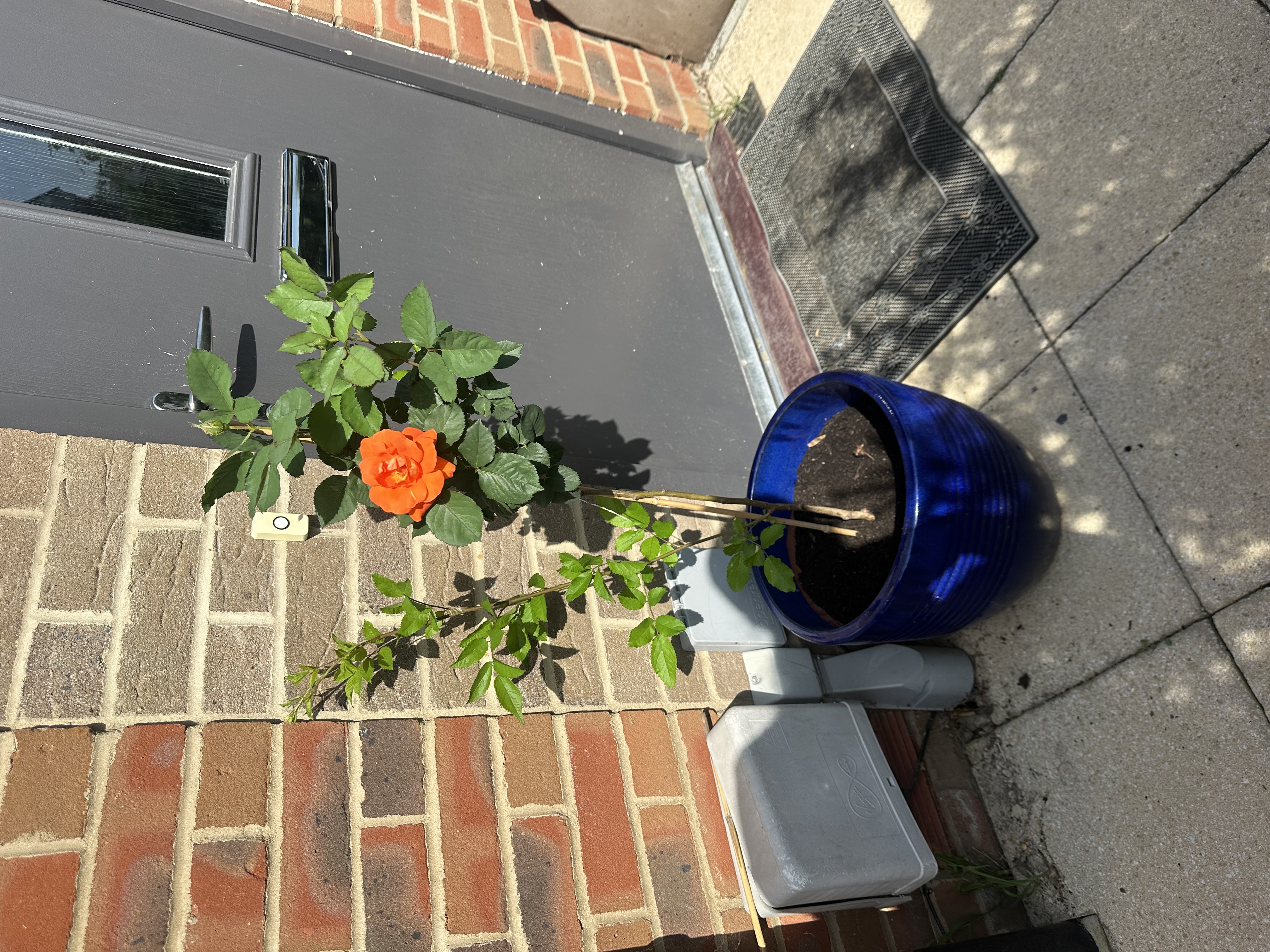 Customer photo