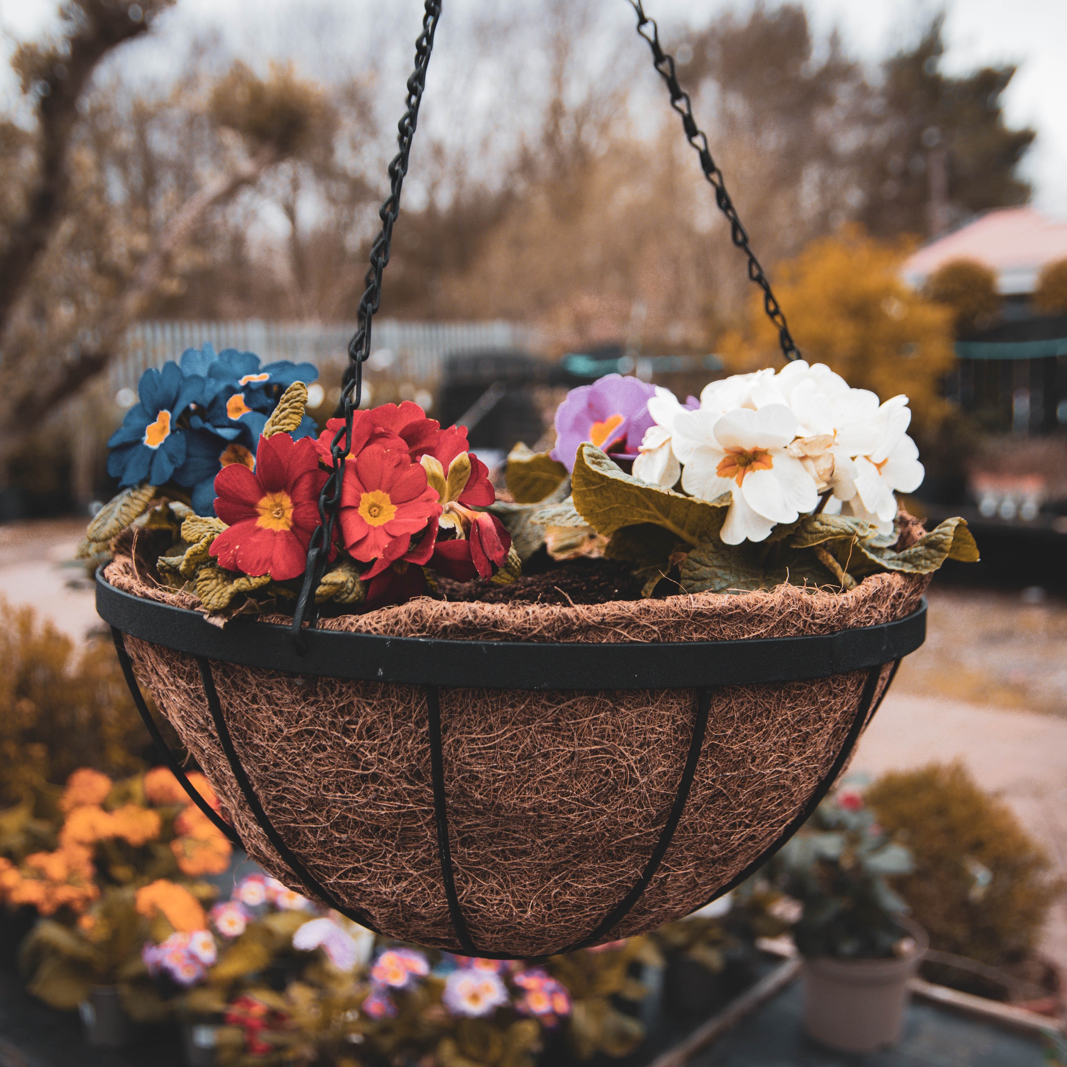 Metal Hanging Basket With Liner Large (35cm)