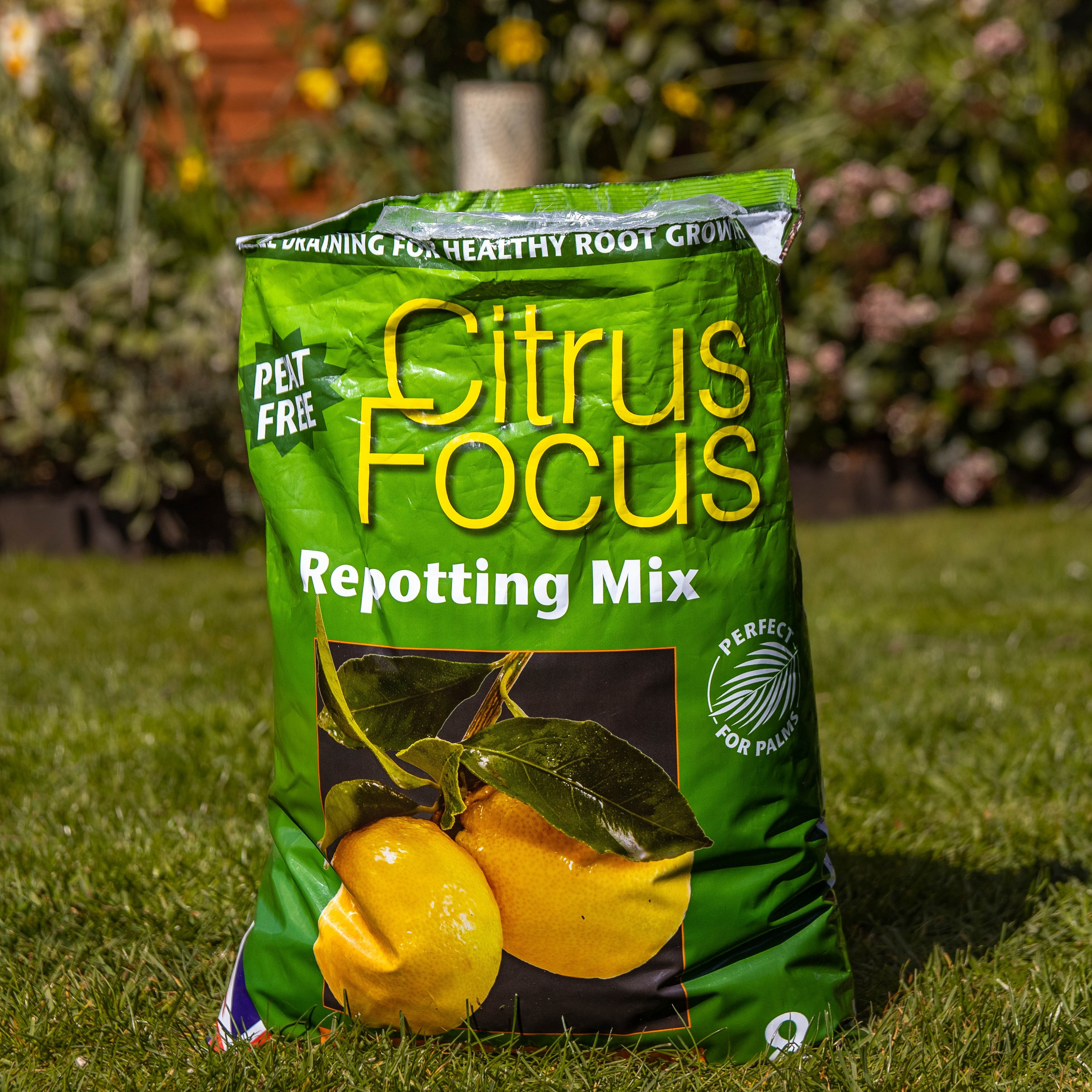 Citrus Compost Peat Free