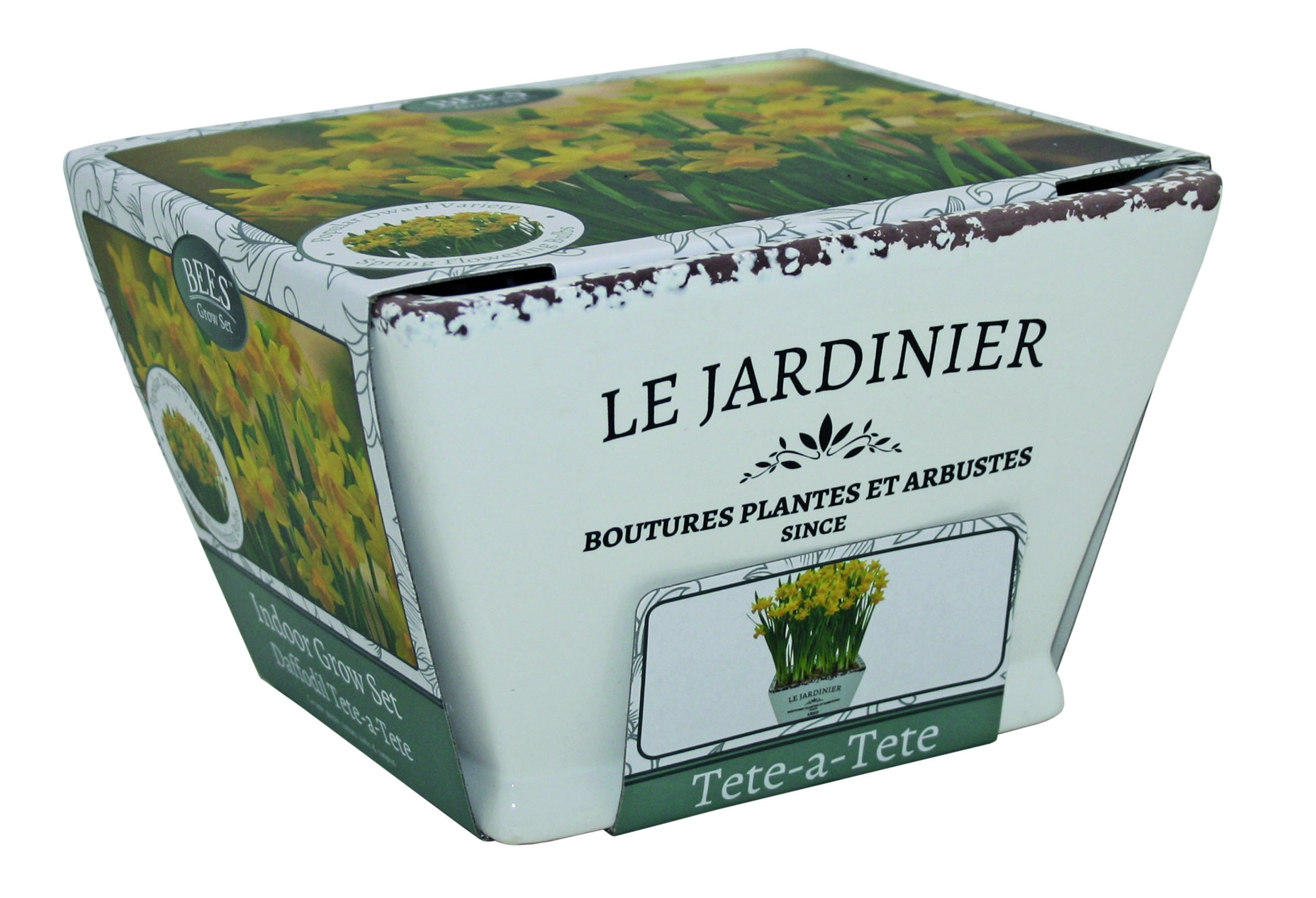 'Le Jardiniere' Dwarf Daffodil Indoor Ceramic Grow Set