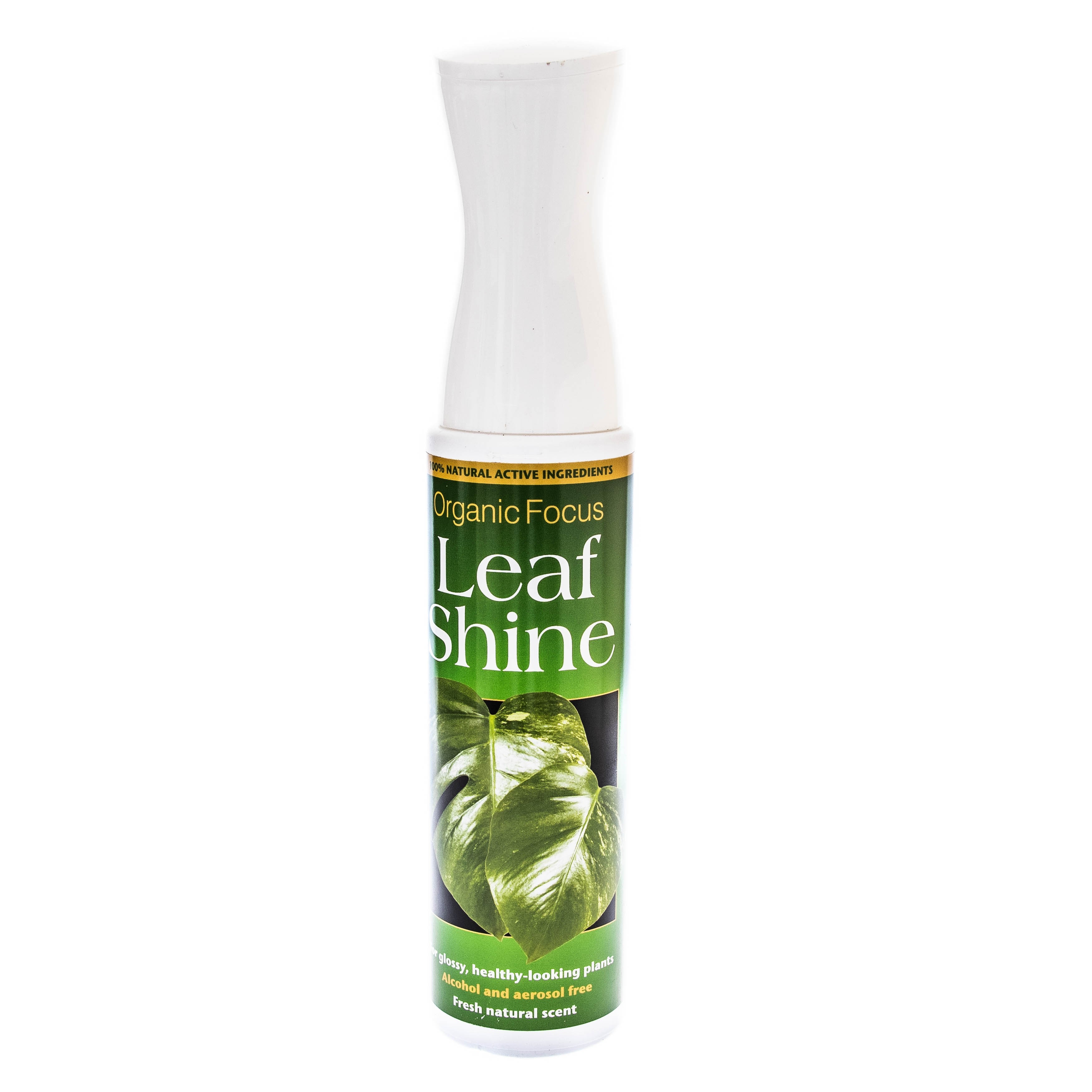 Natural Leaf Shine For Plants at Shawn Frank blog