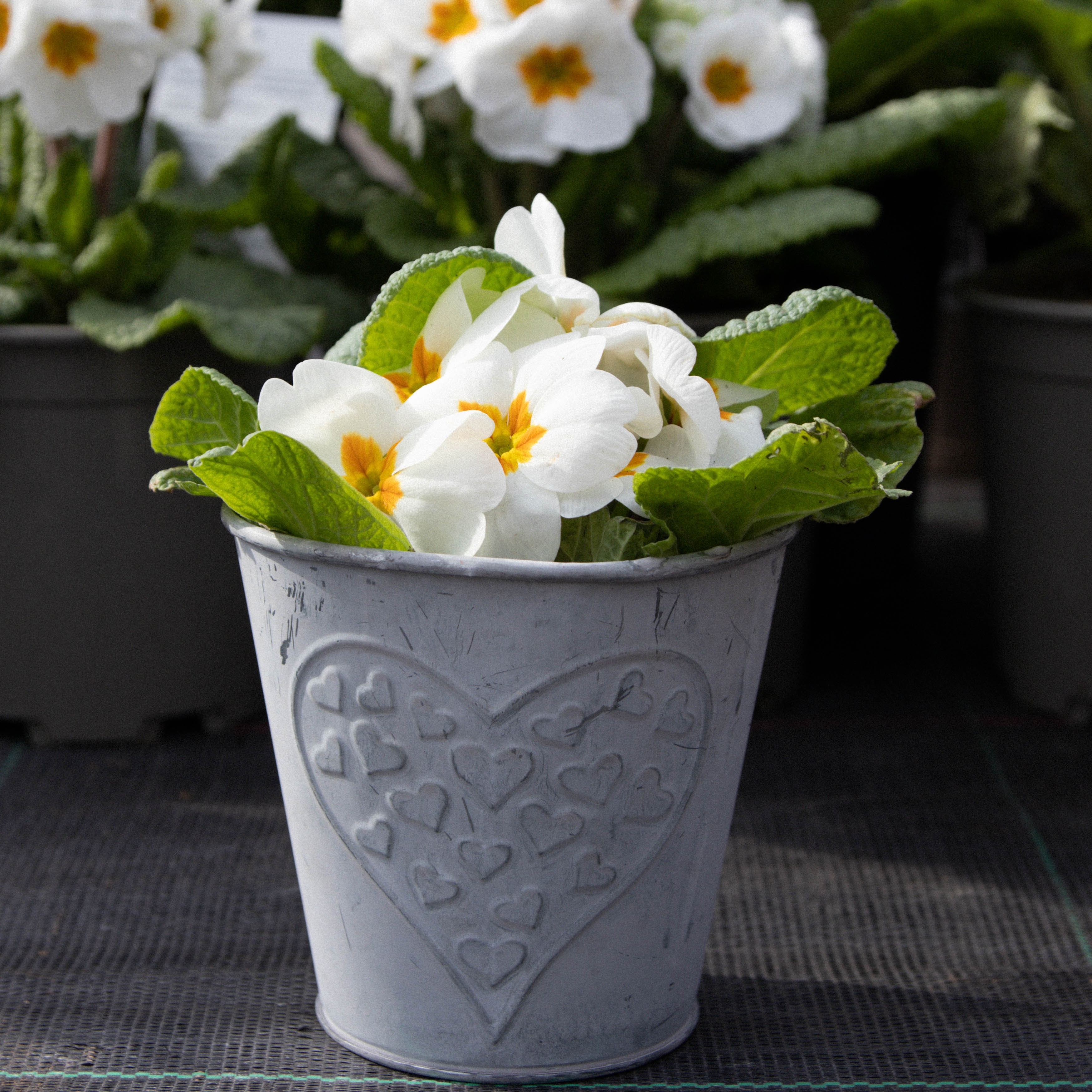 Heart Zinc Pot Pack Of Three Small (11cm)