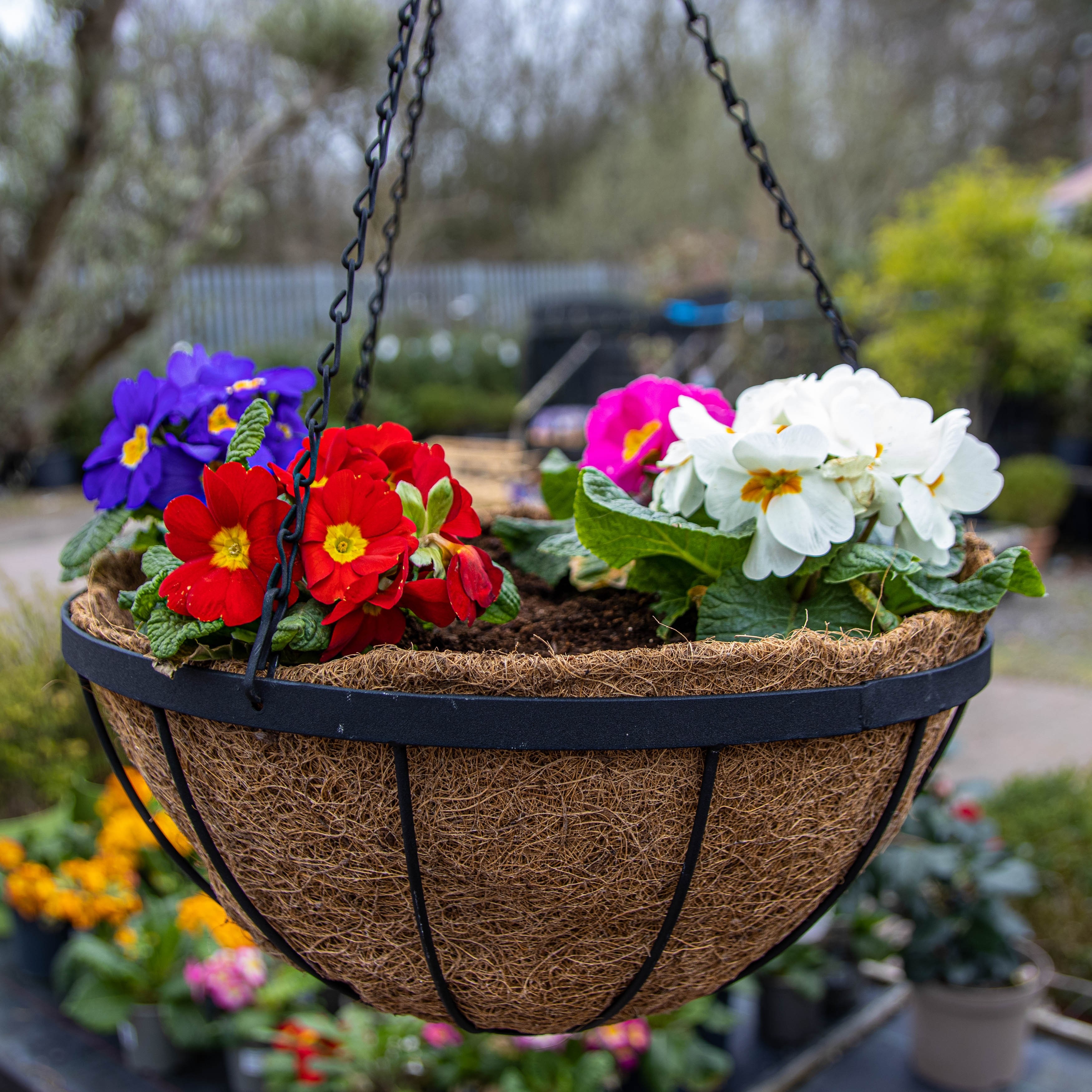 Metal Hanging Basket With Liner Large (35cm)