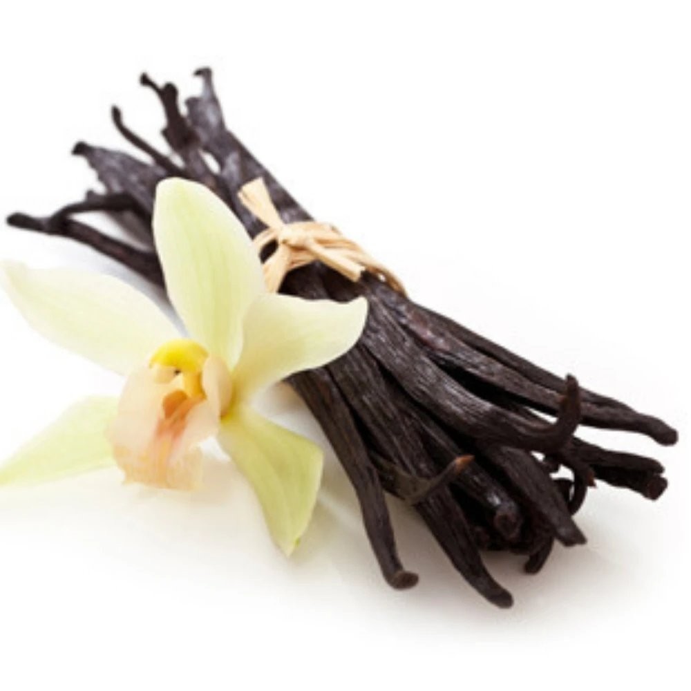 Vanilla Bean Orchid Cutting At Winifred Jones Blog Vanilla Bean Orchid Cutting At Winifred Jones Blog