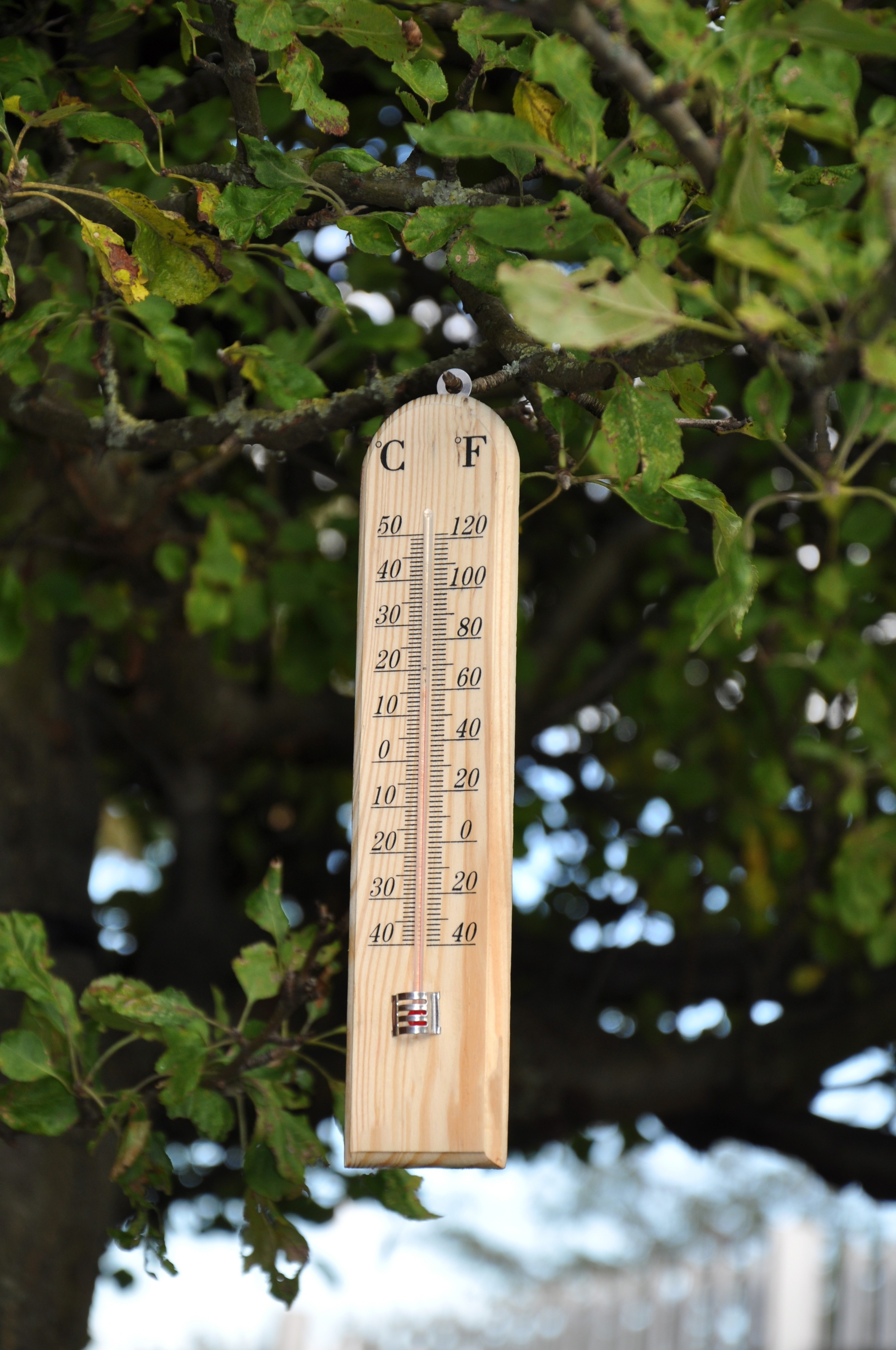 Wooden Garden Thermometer