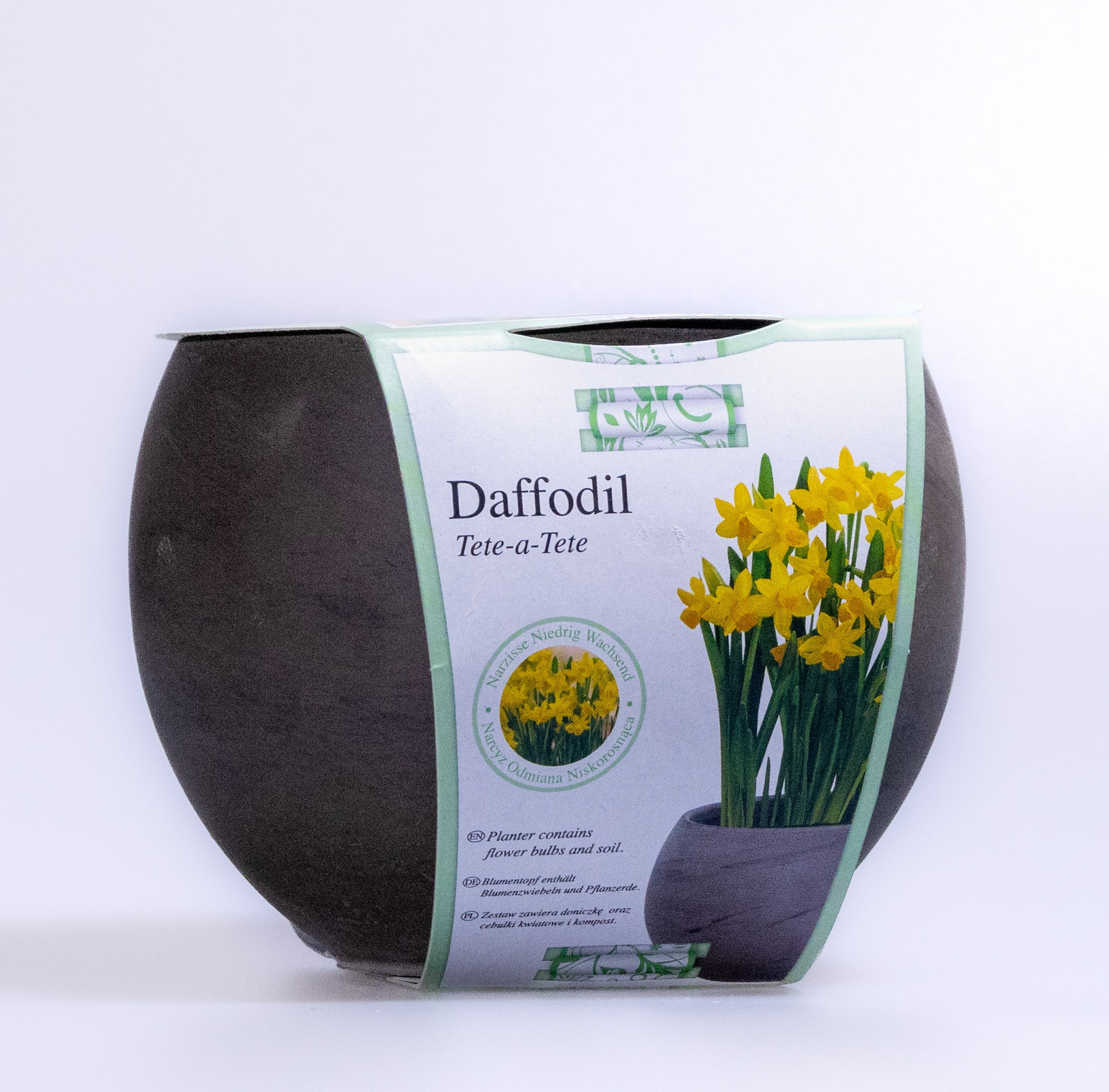 Dwarf Daffodil Indoor Ceramic Grow Set