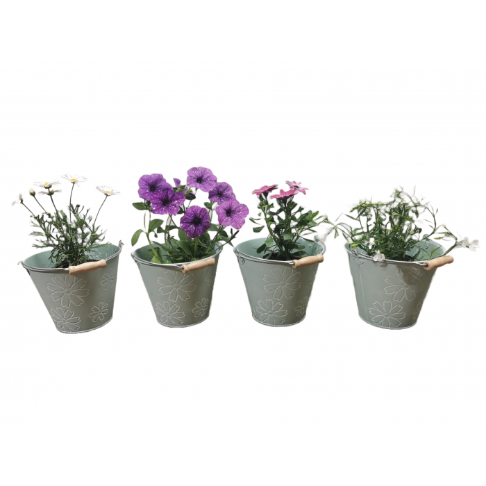 Pack Of Four Whitewashed Tin Pail With Flower (17cm)