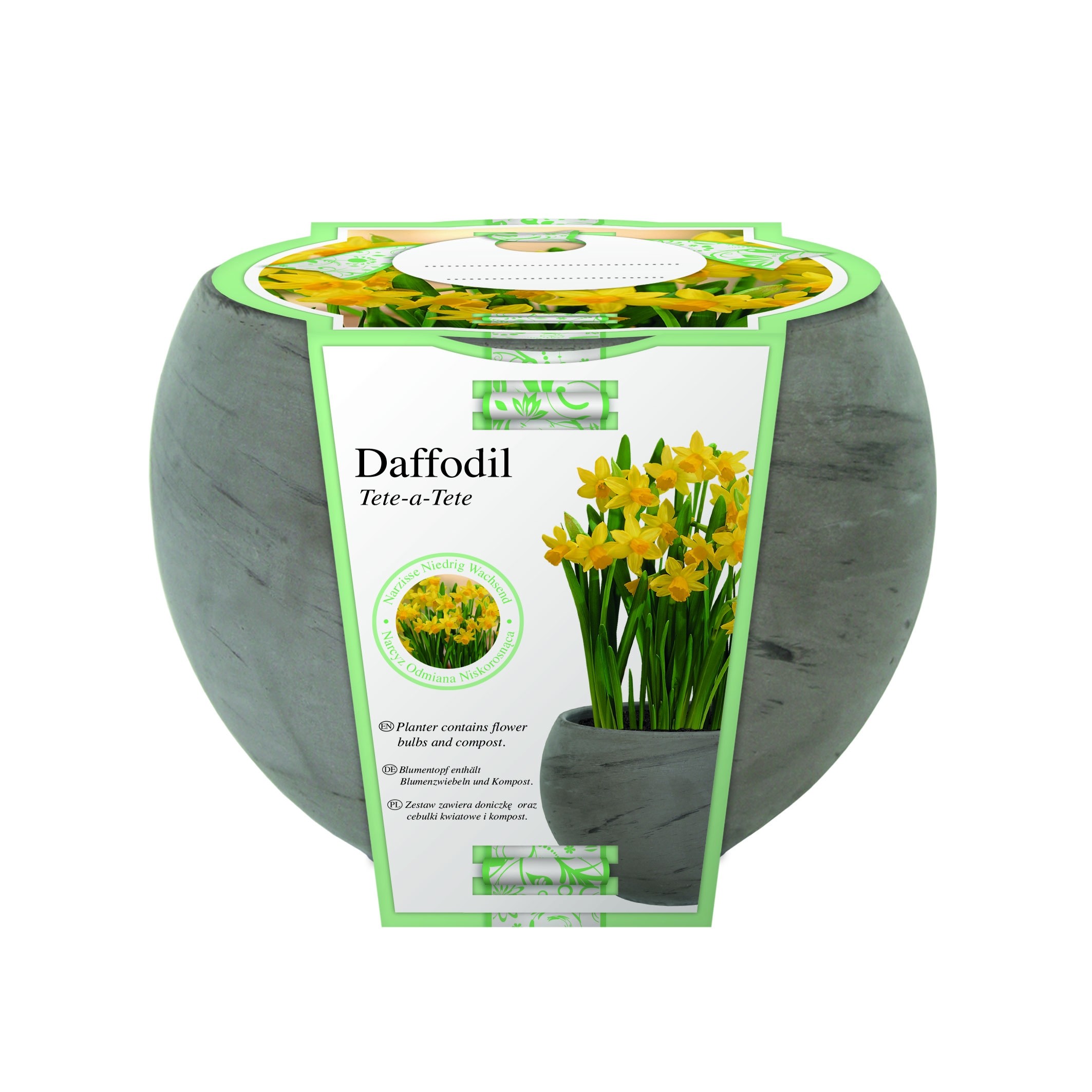 Dwarf Daffodil Indoor Ceramic Grow Set
