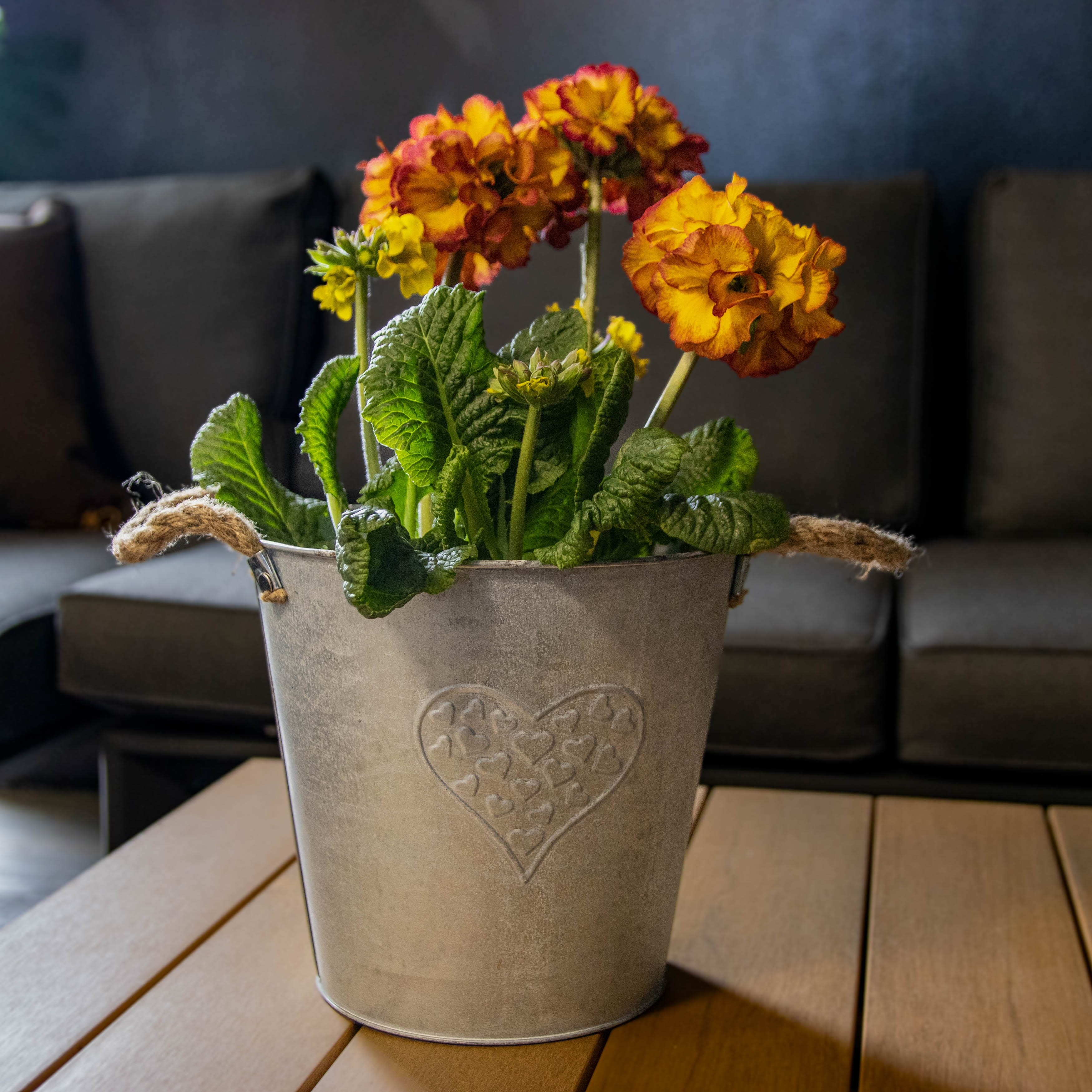 Heart Zinc Pot with Hessian Ears Large (21cm)