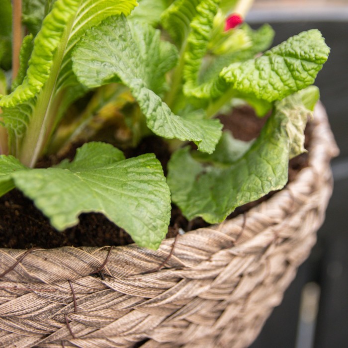 Hanging Rustic Wall Basket ALL WEATHER Brown (35cm)