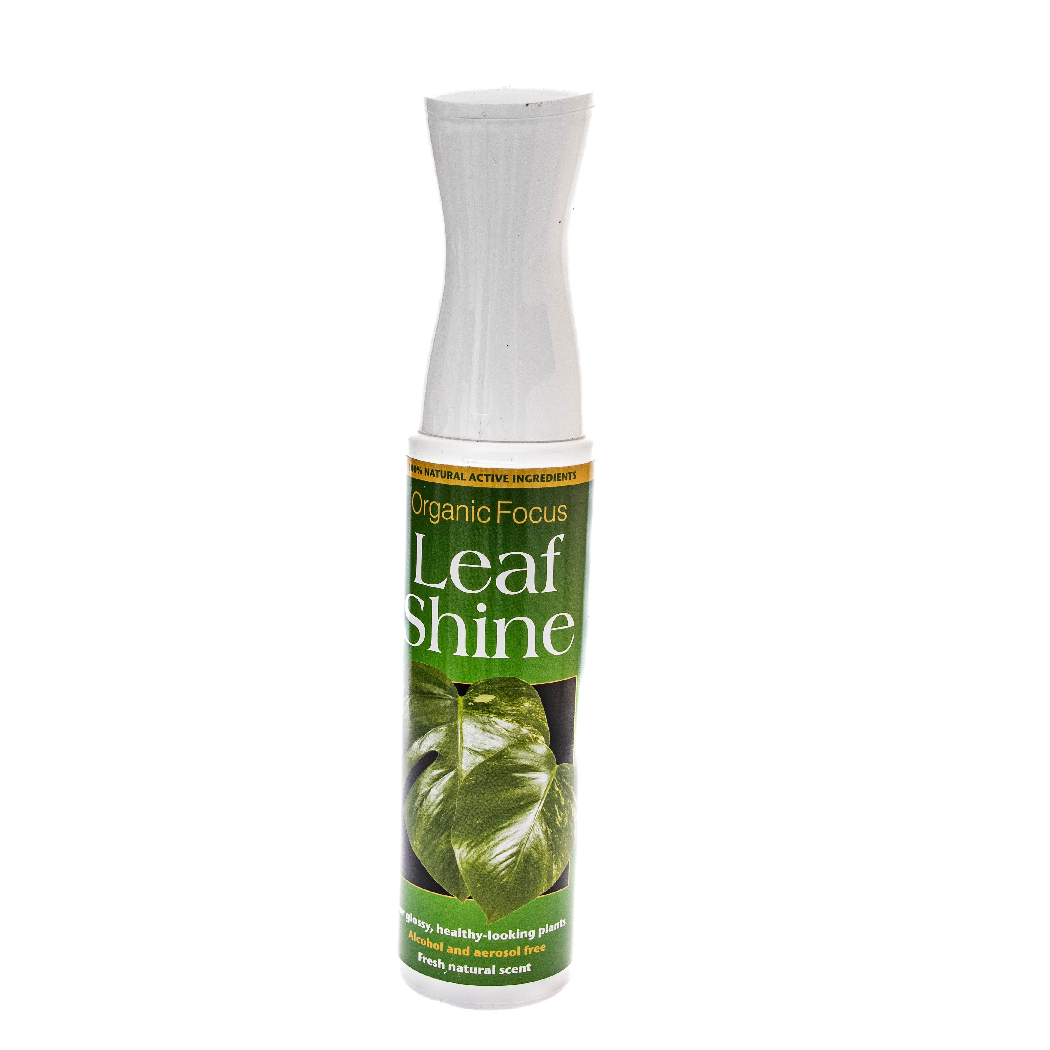 Organic Focus leaf Shine