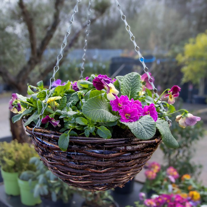 Brown Rattan Hanging Basket Pack of Two Large (35cm)