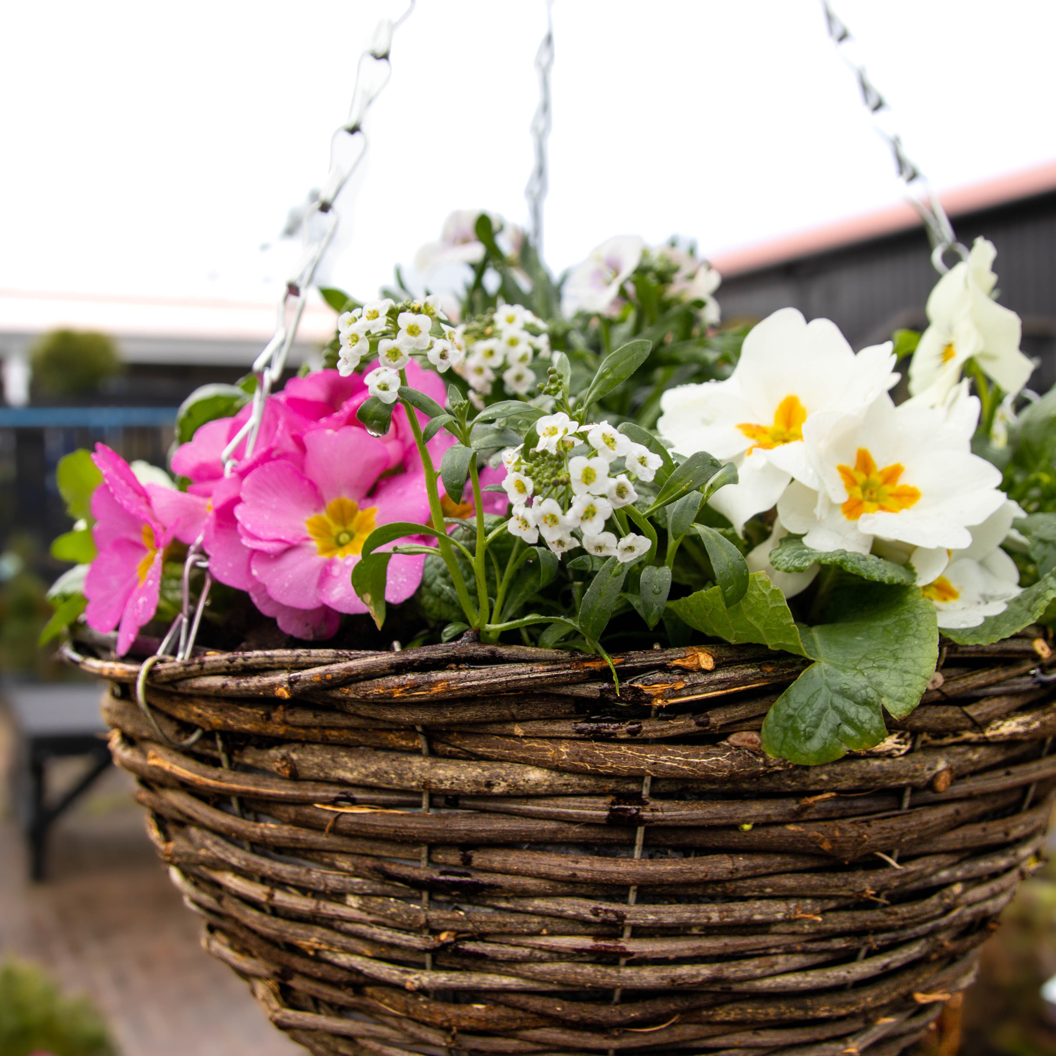 Brown Rattan Hanging Basket Pack of Two Large (35cm)